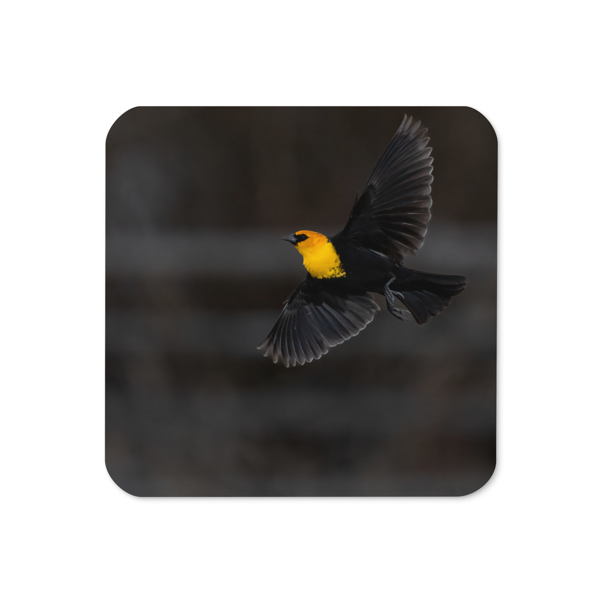 Flying Yellow Head Cork-back Coaster - The Overland Diaries