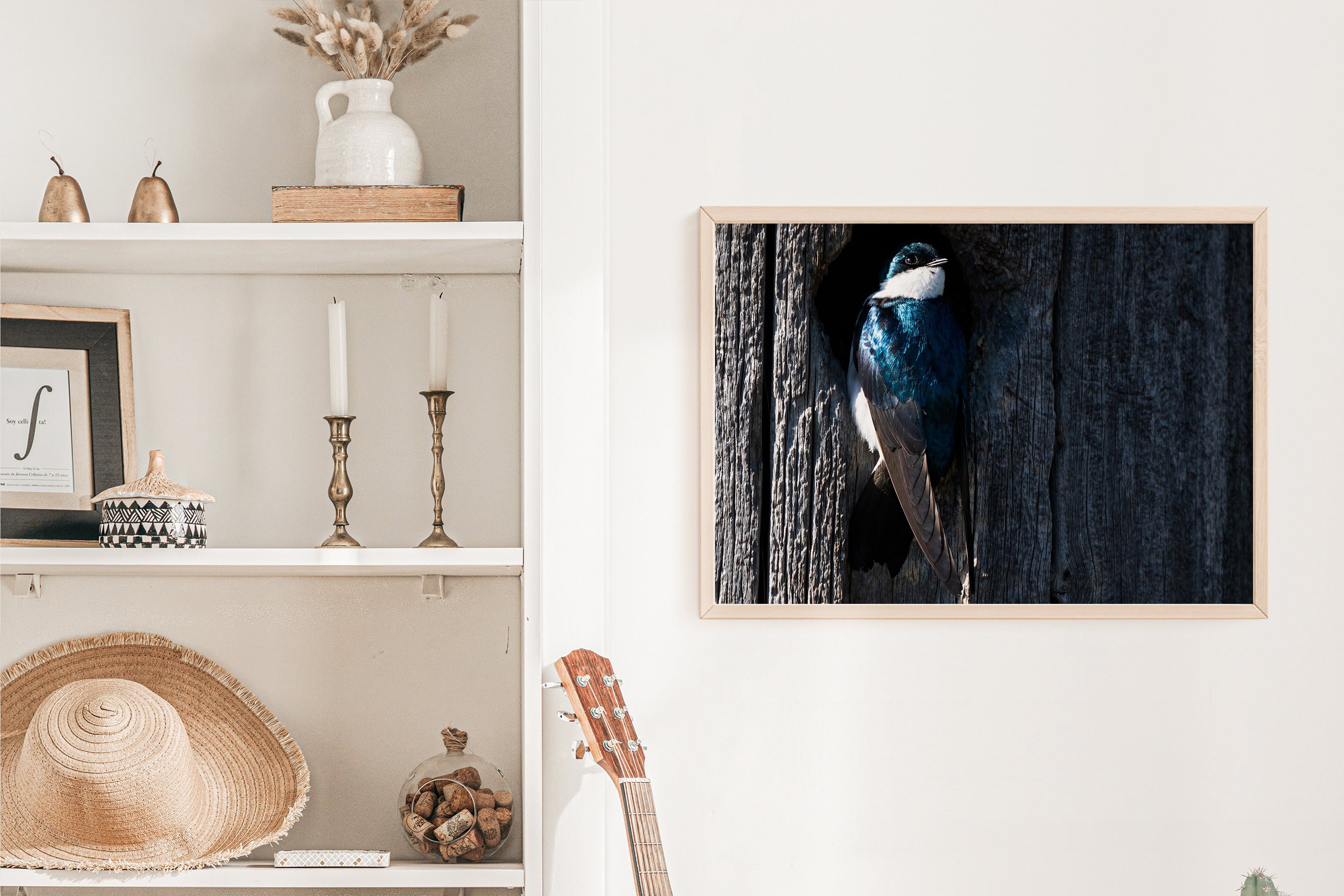Tree Swallow Coming Out Of Nest - The Overland Diaries