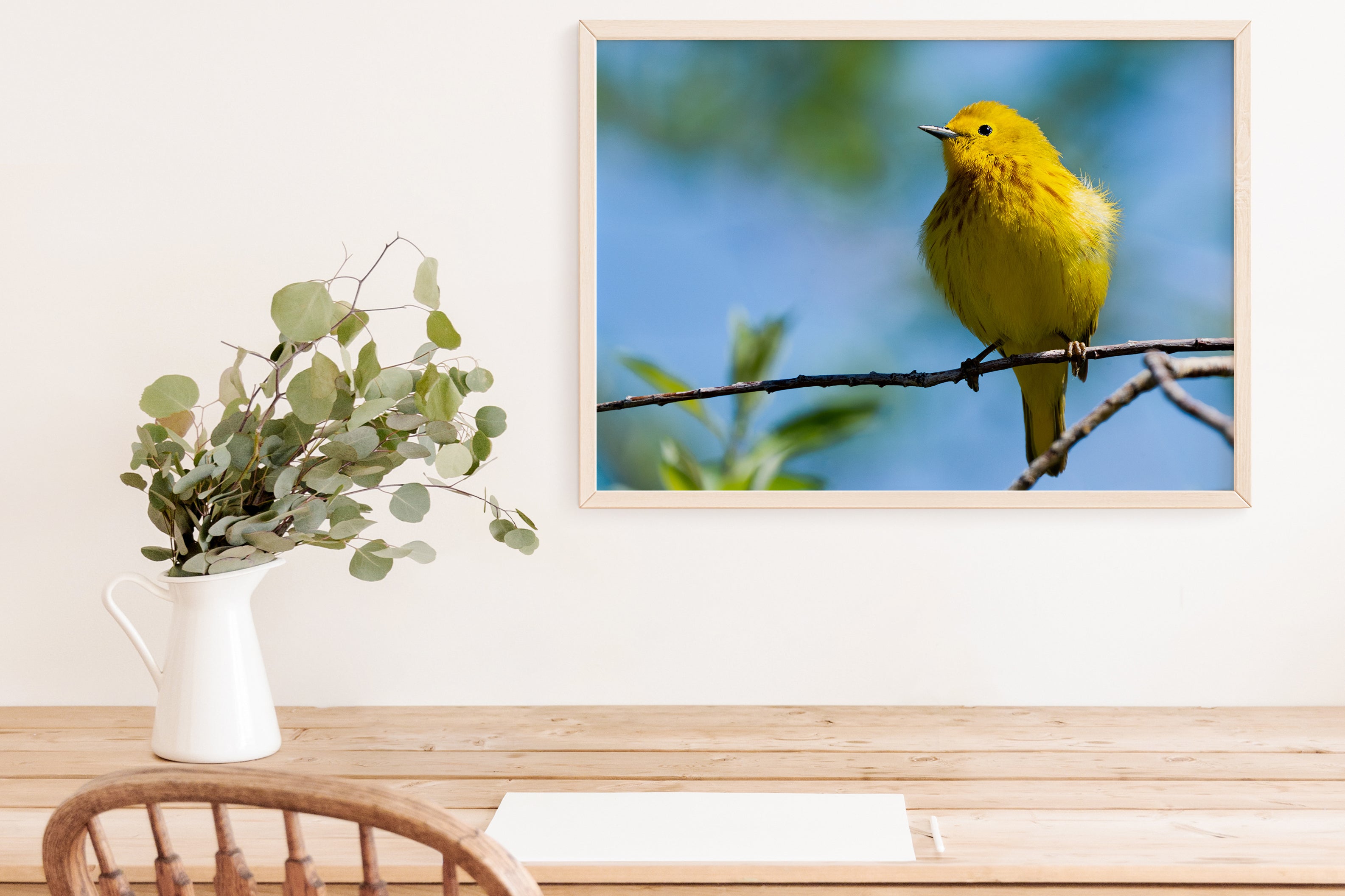 Yellow Warbler - The Overland Diaries