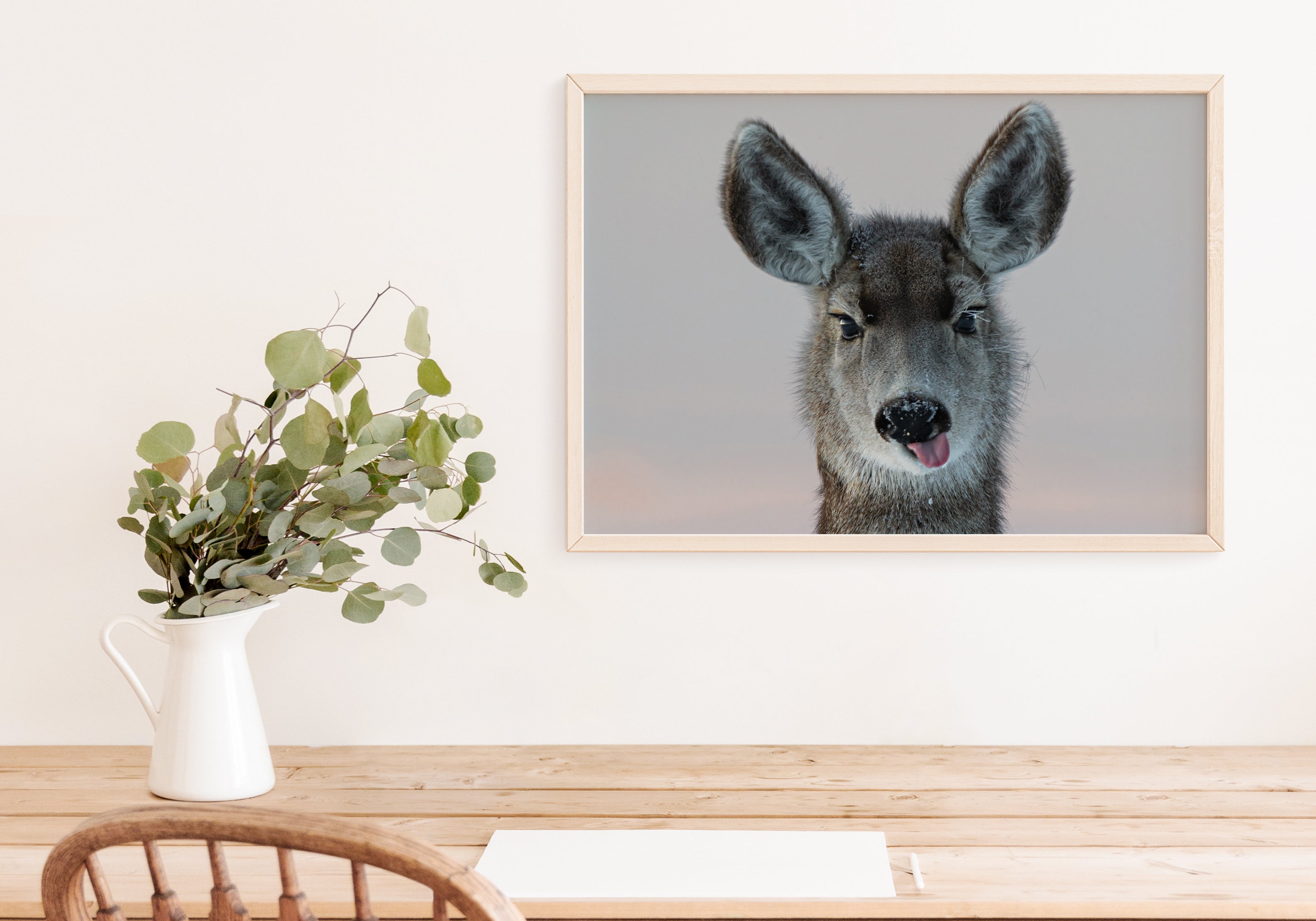 Deer Funny Face - The Overland Diaries
