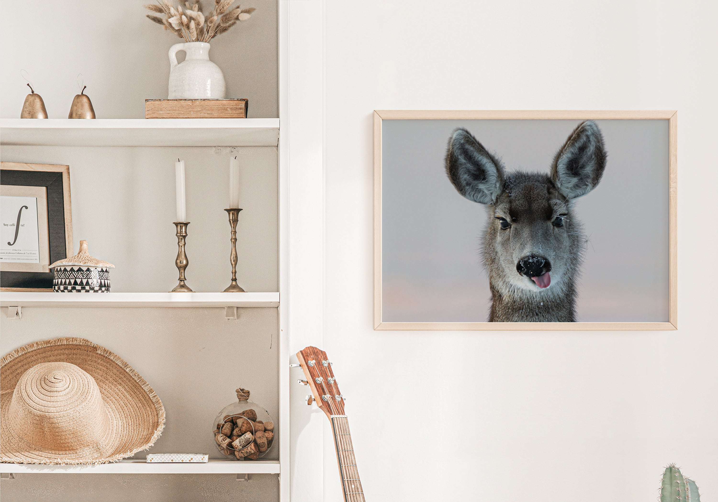 Deer Funny Face - The Overland Diaries
