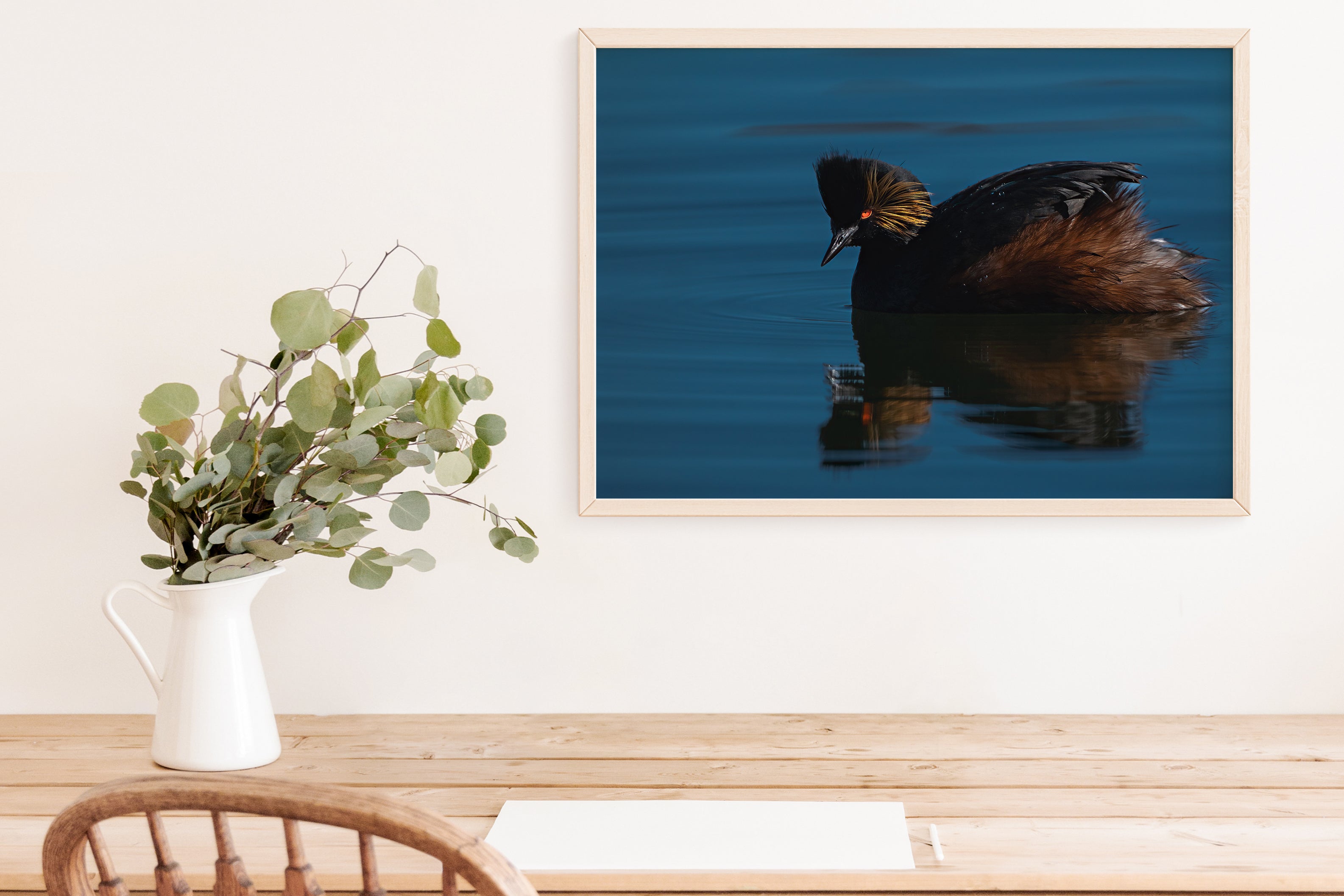Fine Art Wildlife Eared Grebe - The Overland Diaries