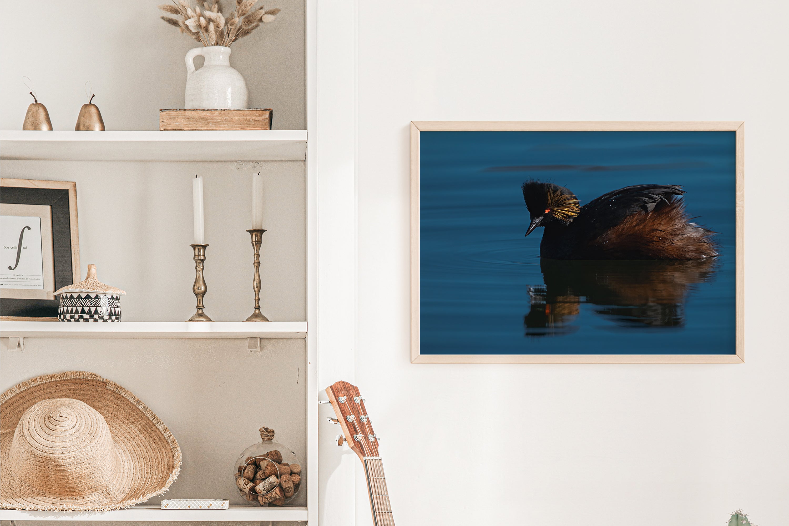 Fine Art Wildlife Eared Grebe - The Overland Diaries