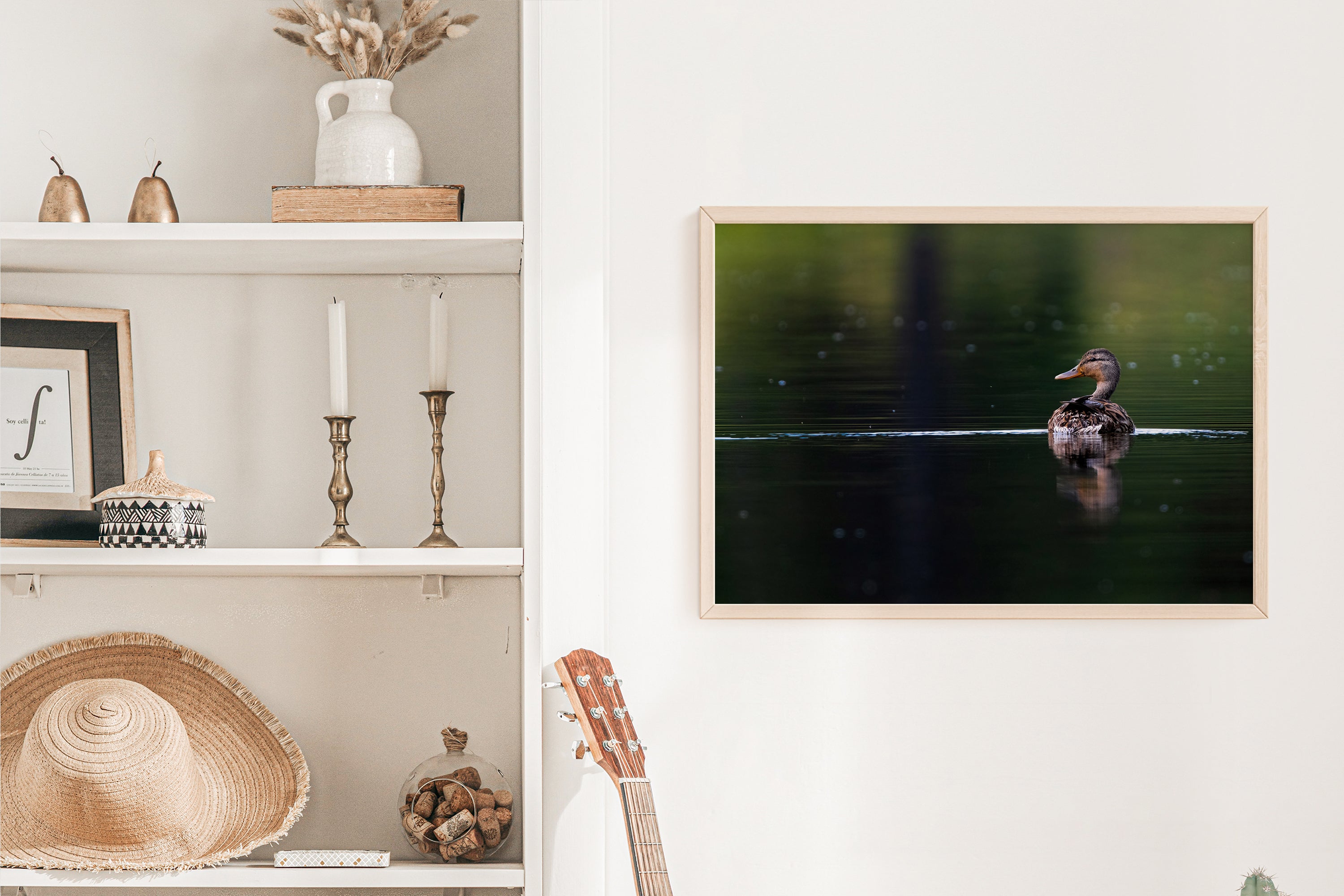 Bird Photography: Female Mallard Duck Photograph - The Overland Diaries