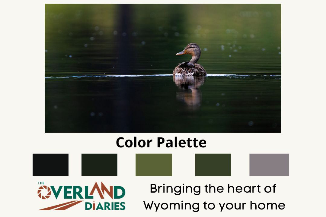 Bird Photography: Female Mallard Duck Photograph - The Overland Diaries