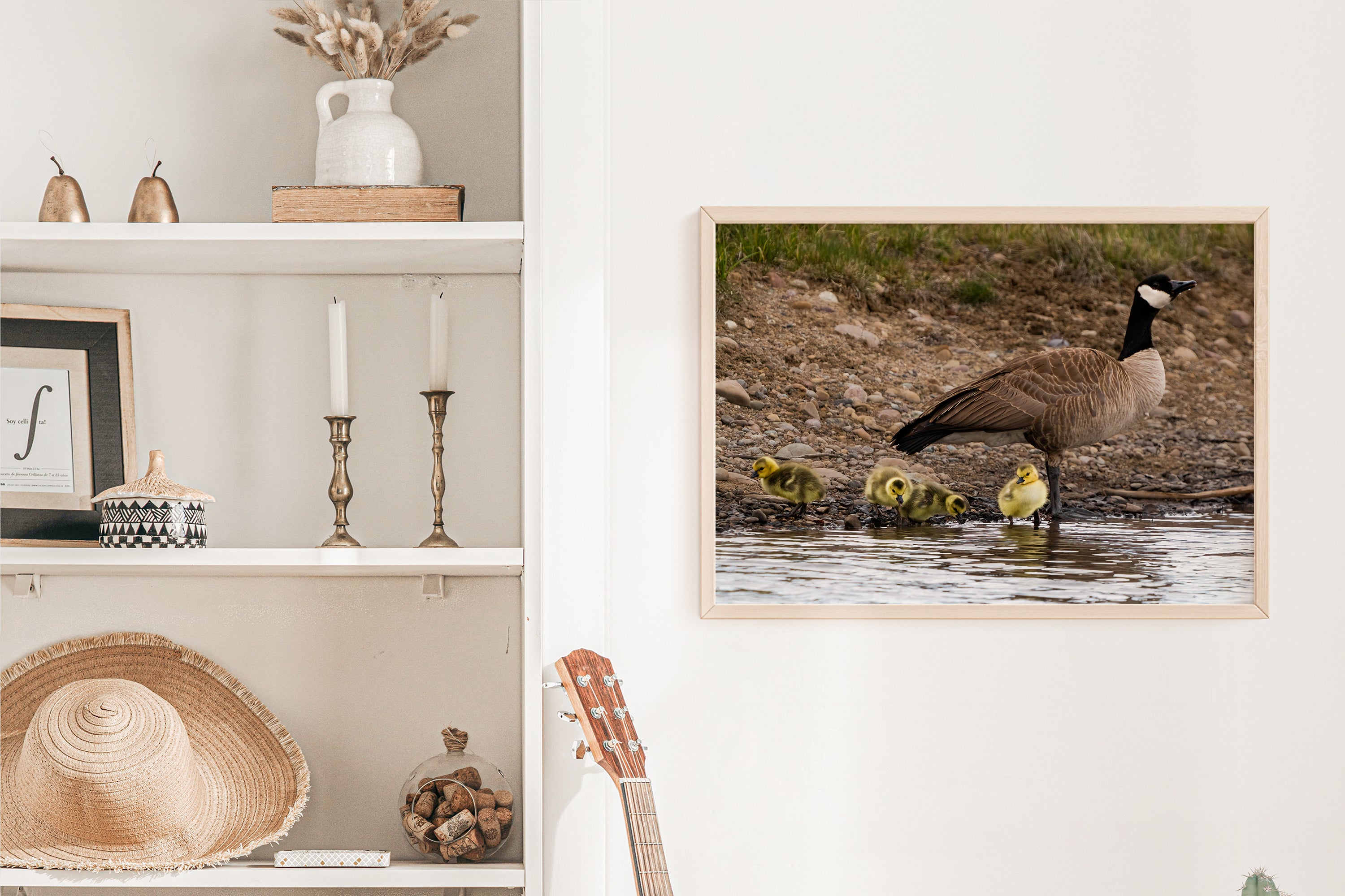 Canada Geese With Goslings Photo - The Overland Diaries