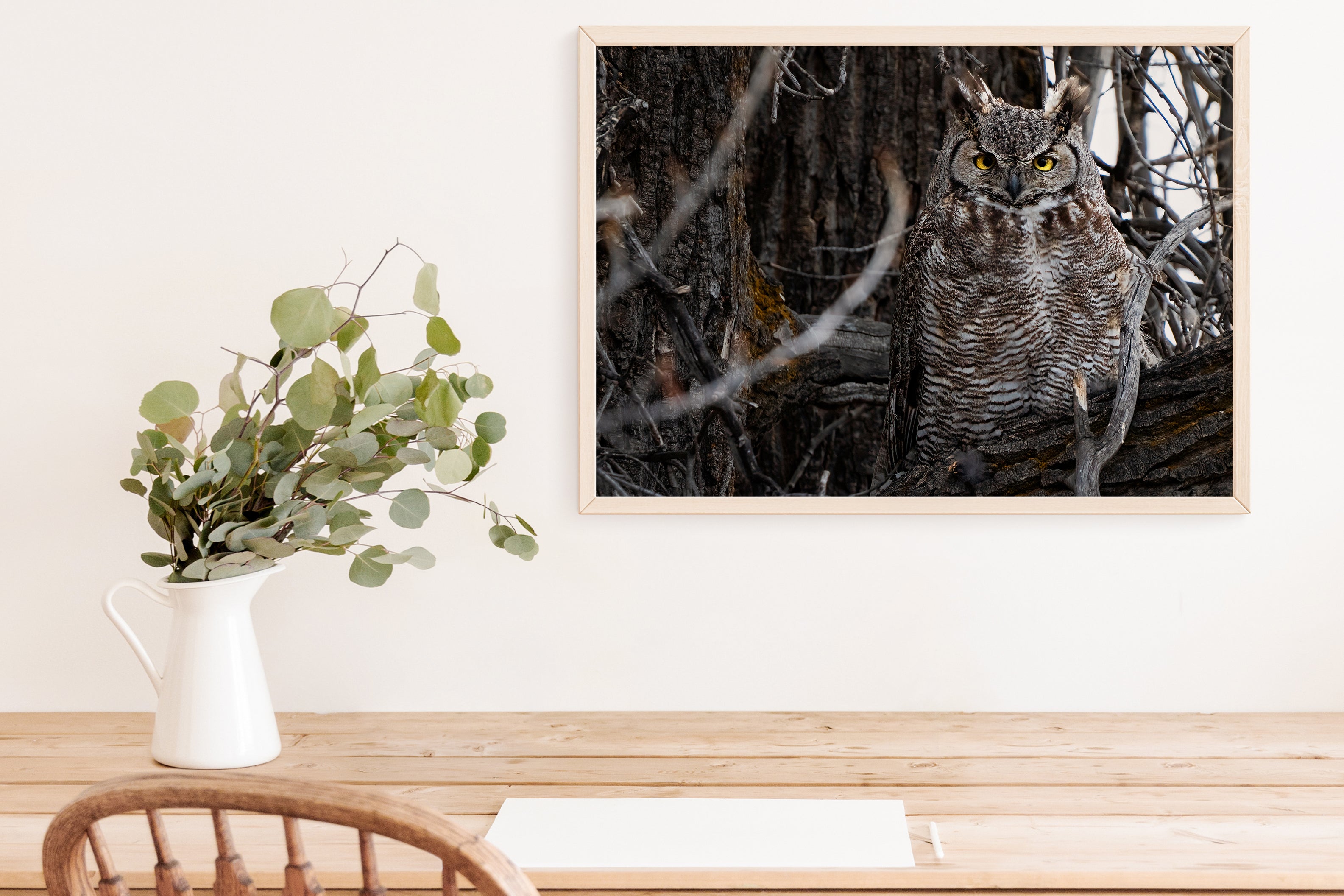 Wildlife Photography: Great Horned Owl - The Overland Diaries