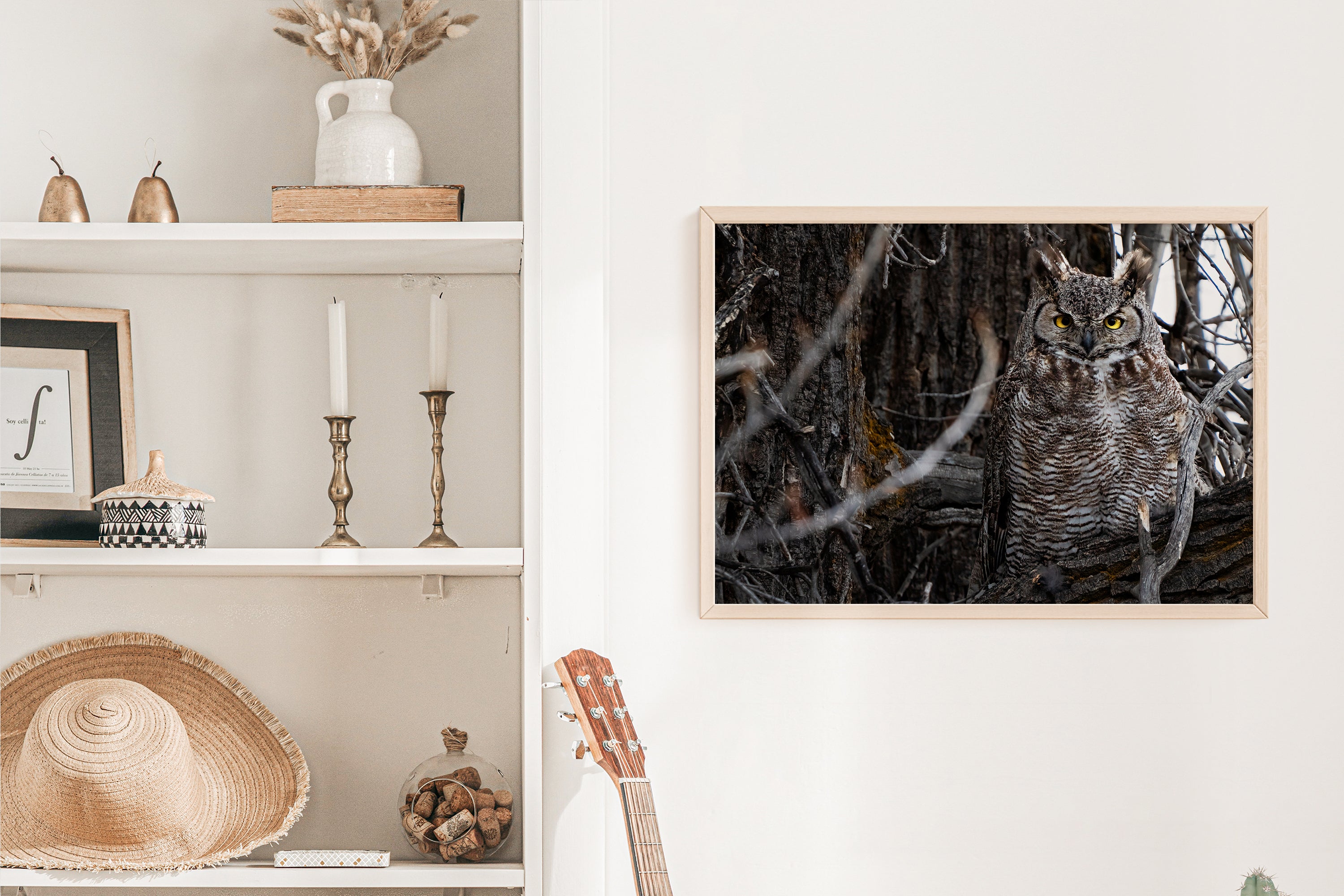 Wildlife Photography: Great Horned Owl - The Overland Diaries