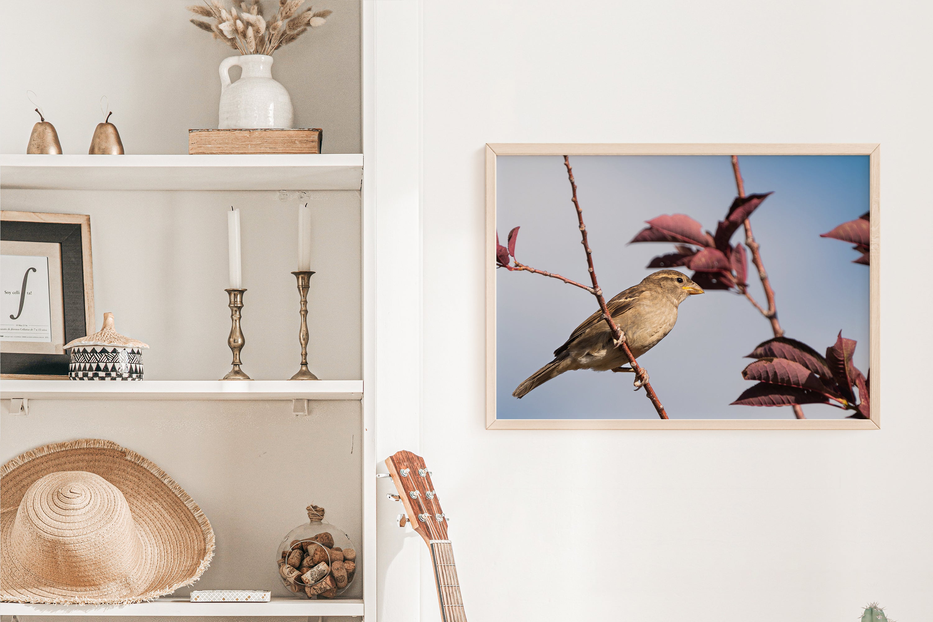 Bird Photography: House Sparrow - The Overland Diaries