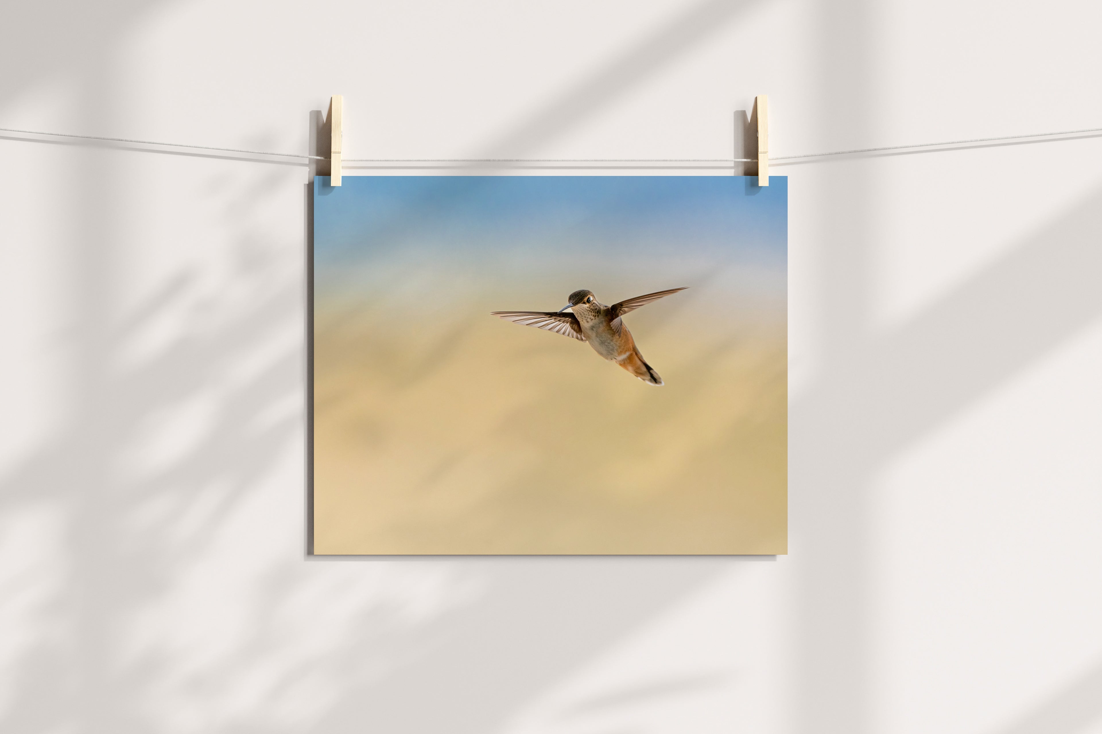 Hummingbird Lover Gift - The Overland Diaries