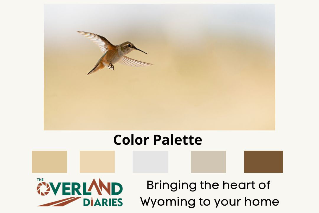 Hummingbird In Flight - The Overland Diaries