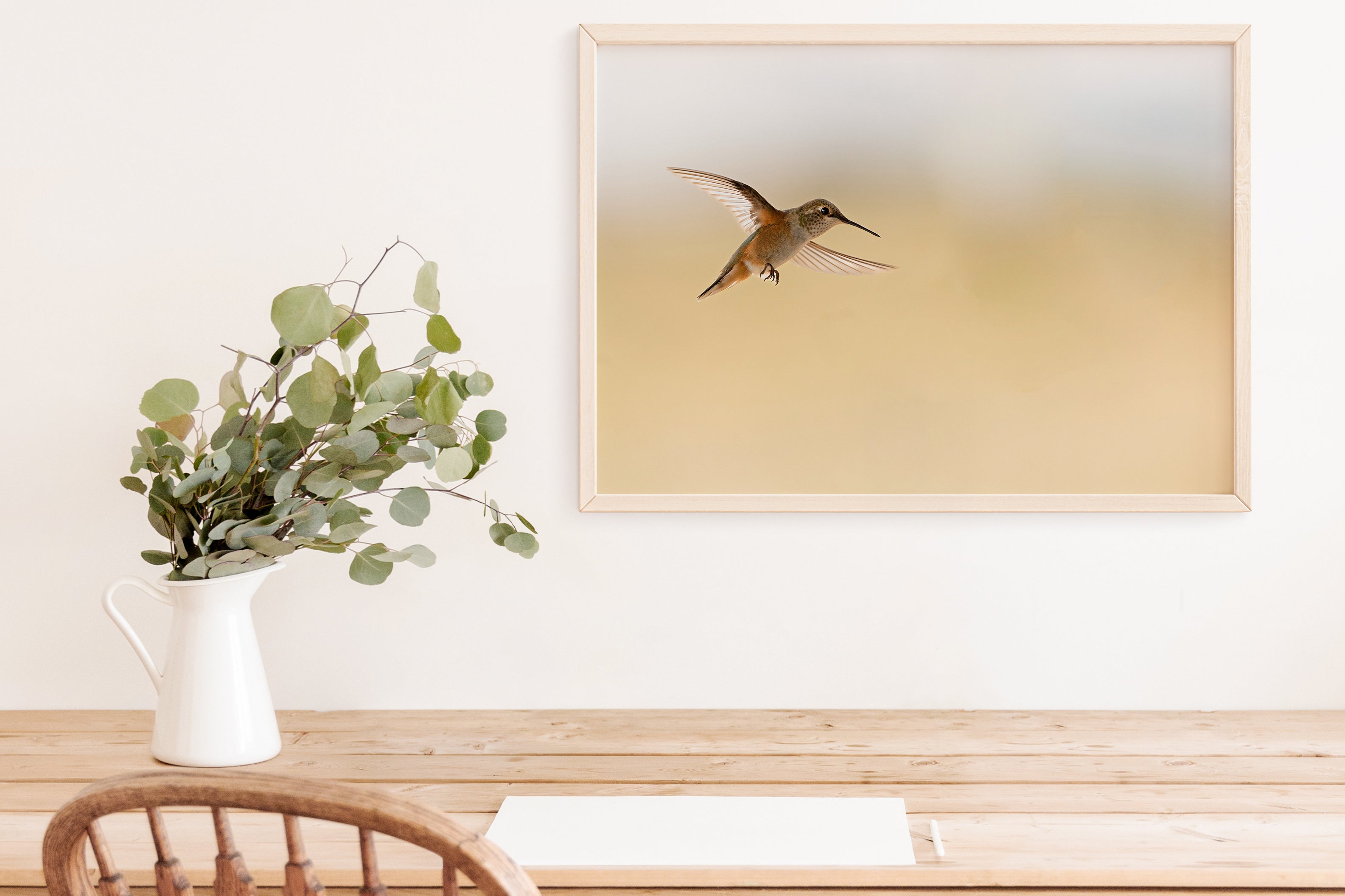 Hummingbird In Flight - The Overland Diaries