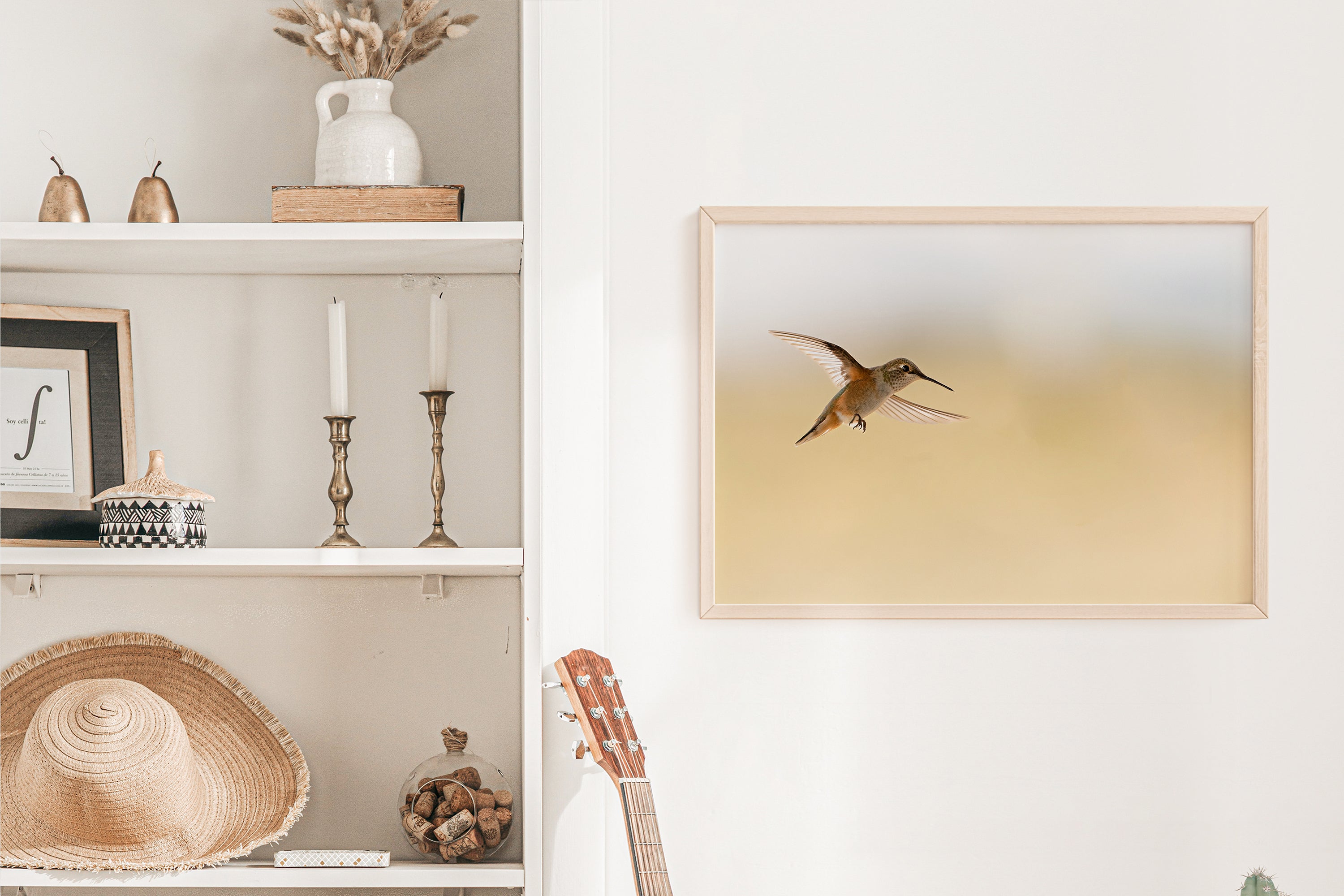 Hummingbird In Flight - The Overland Diaries