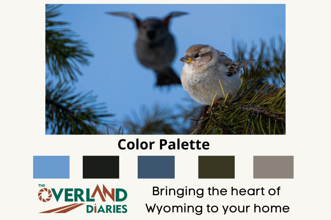 Nature Wall Art House Sparrow - The Overland Diaries
