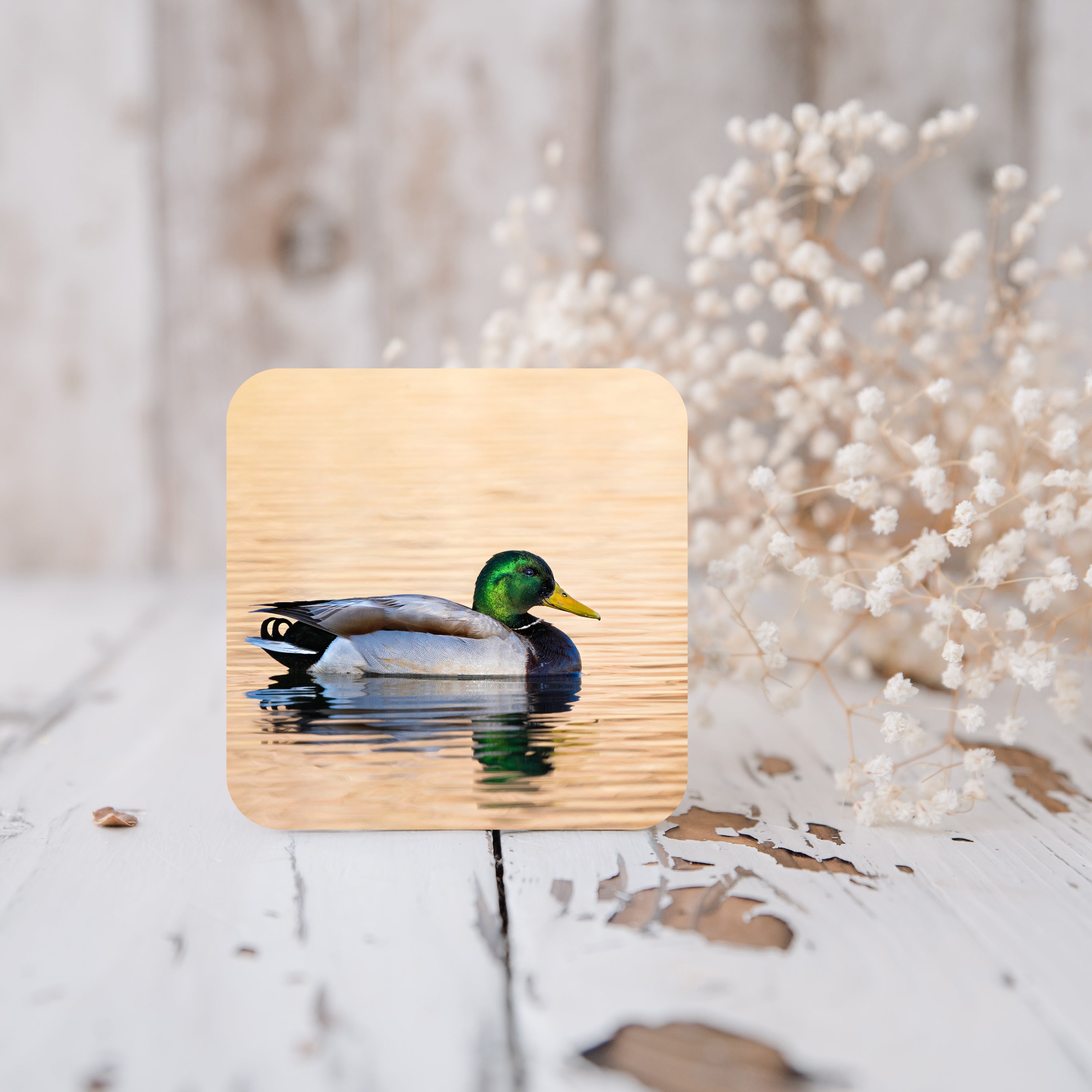 Home Decor Wildlife Cork-Back Coaster - The Overland Diaries