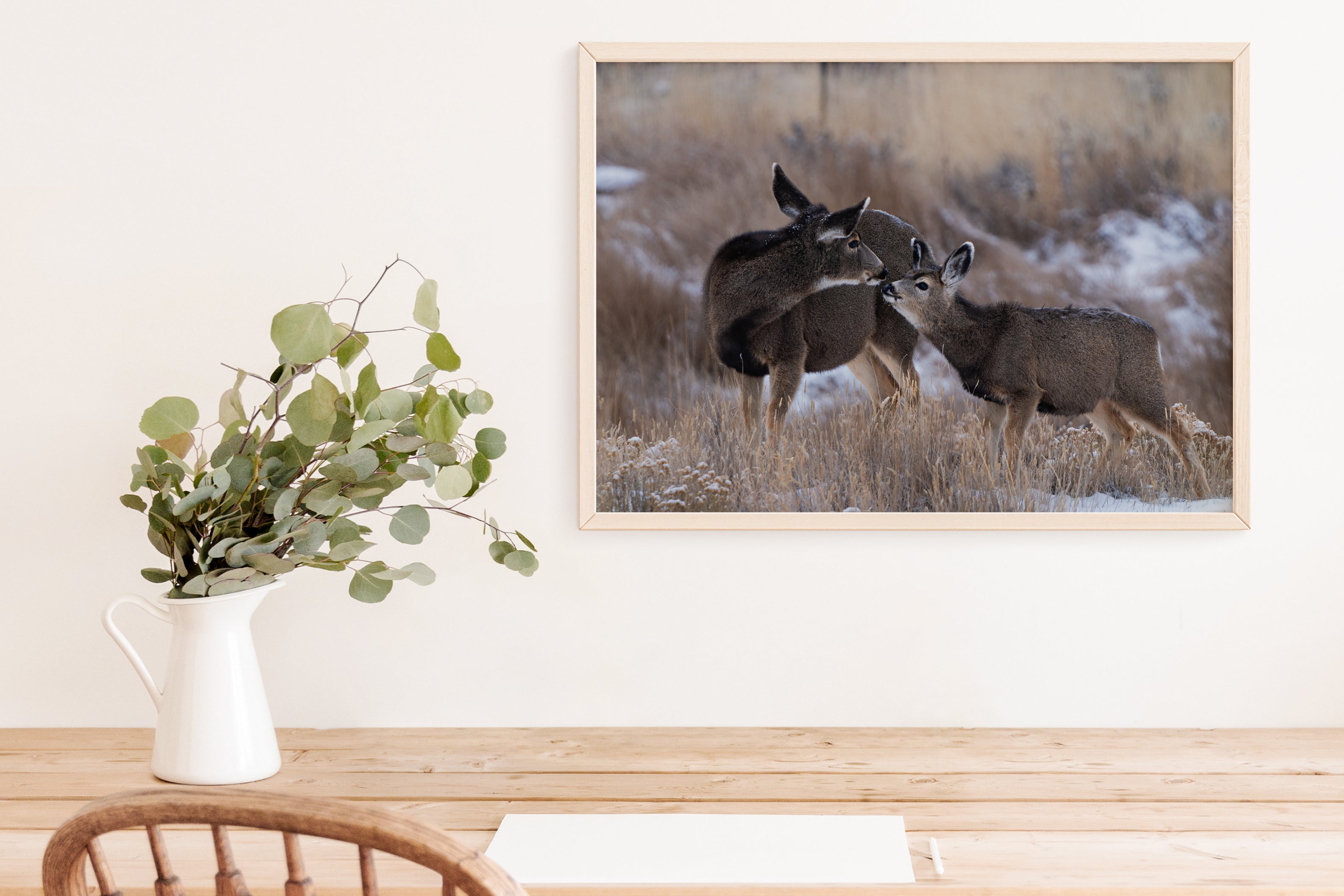 Mamma Deer Kissing Fawn. - The Overland Diaries