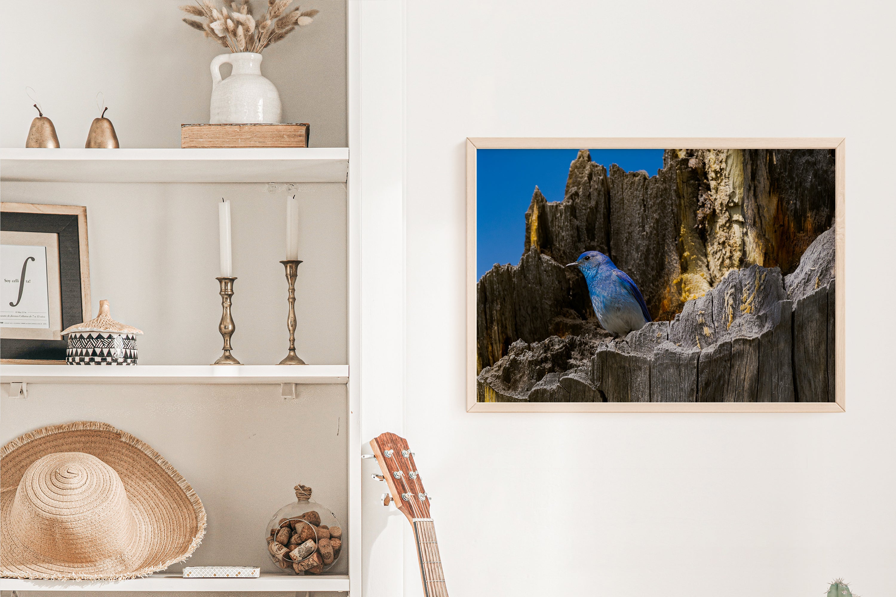 Mountain Bluebird Photograph - The Overland Diaries