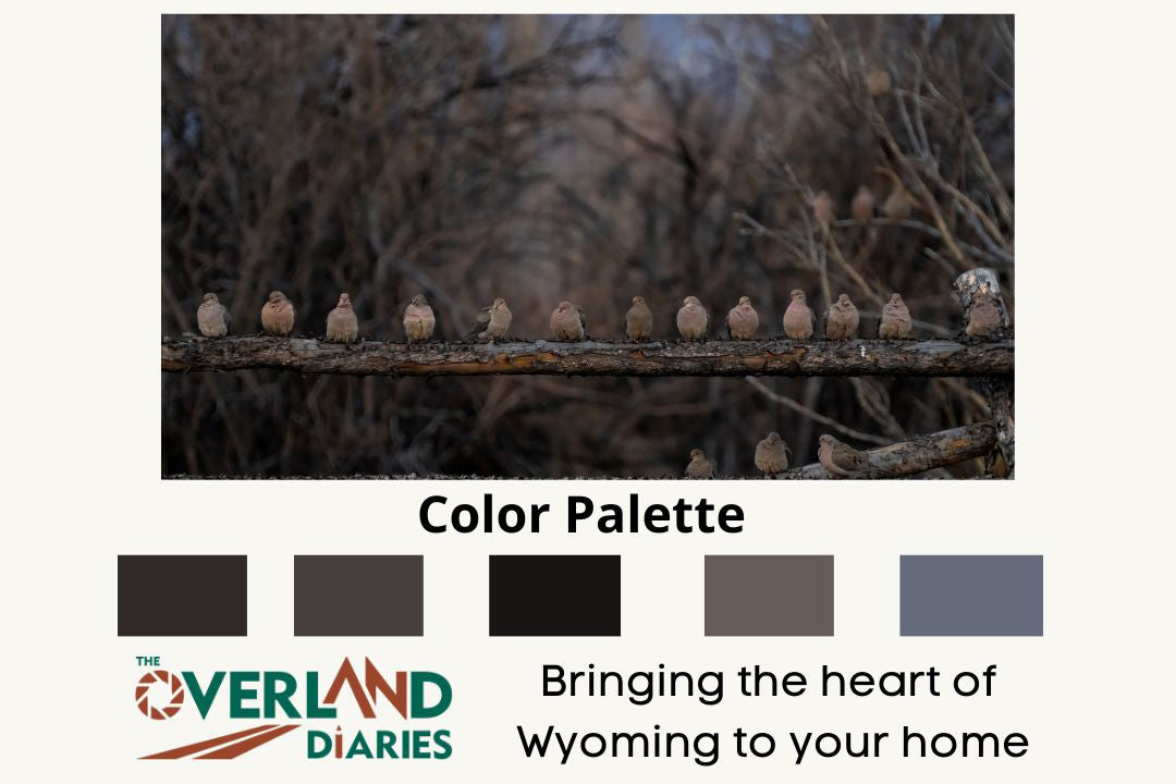 Cute photo of Flock Of Mourning Doves - The Overland Diaries