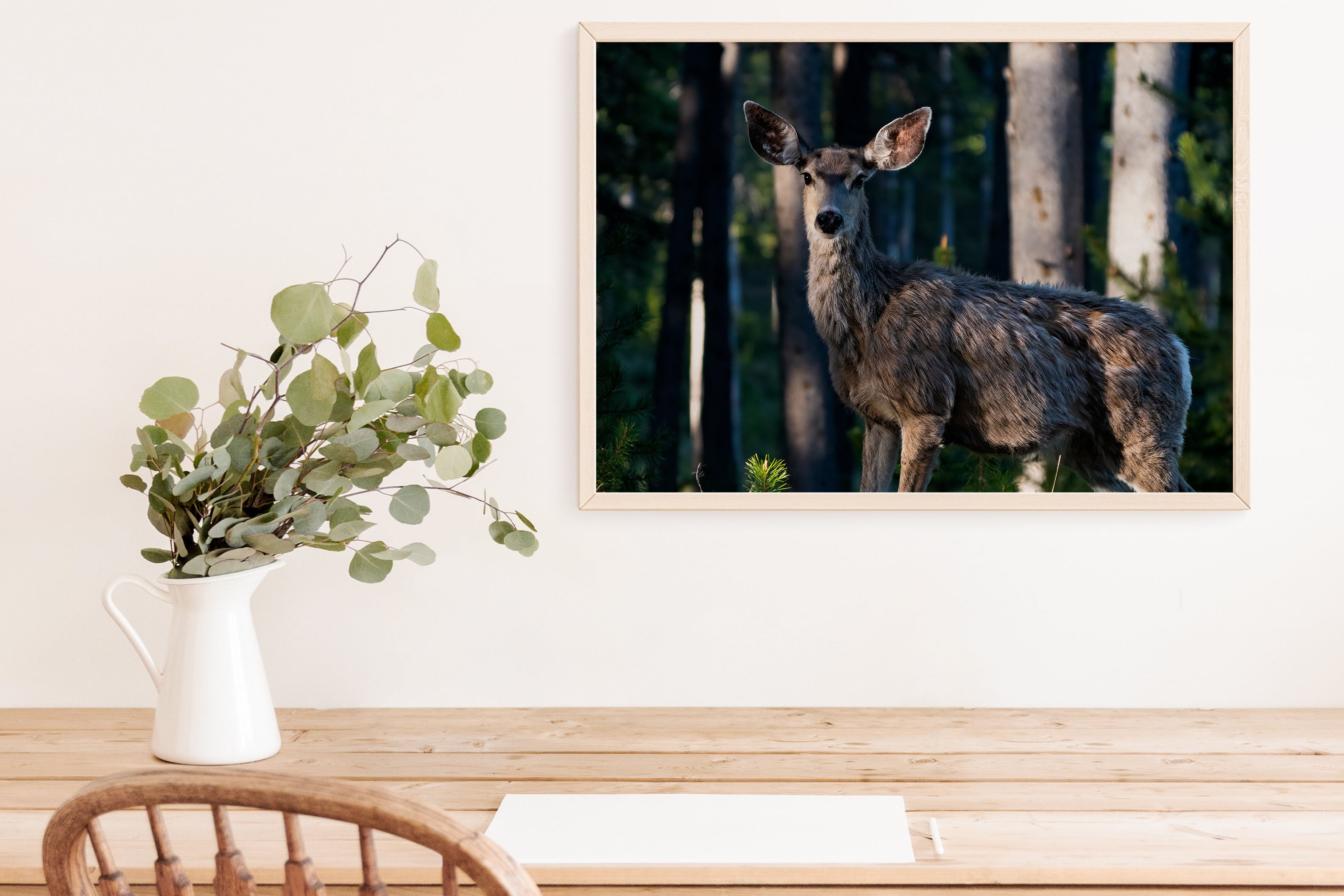 Mule Deer Art Print - The Overland Diaries