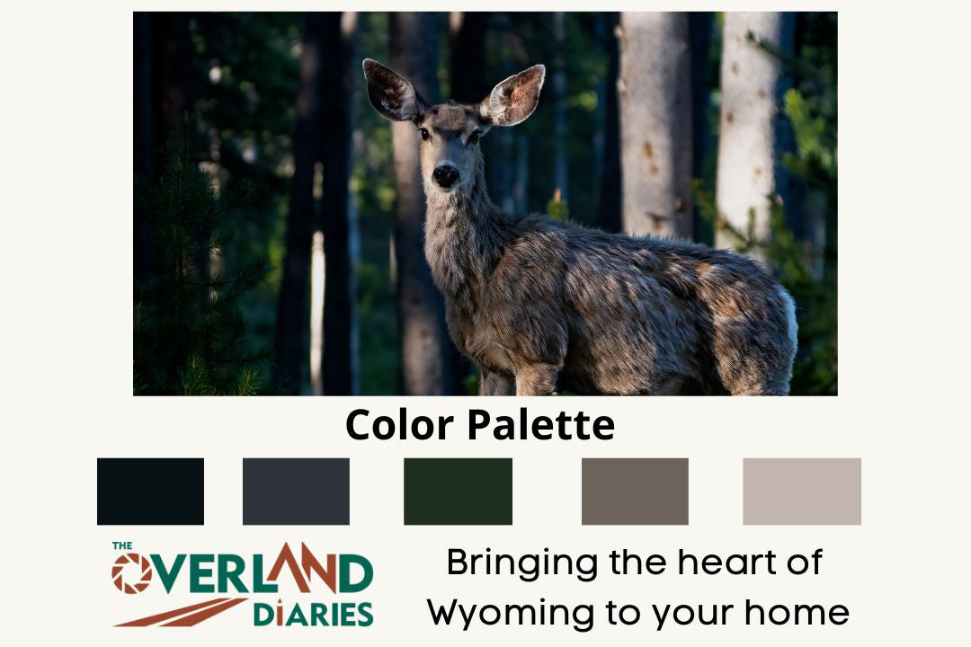 Mule Deer Art Print - The Overland Diaries