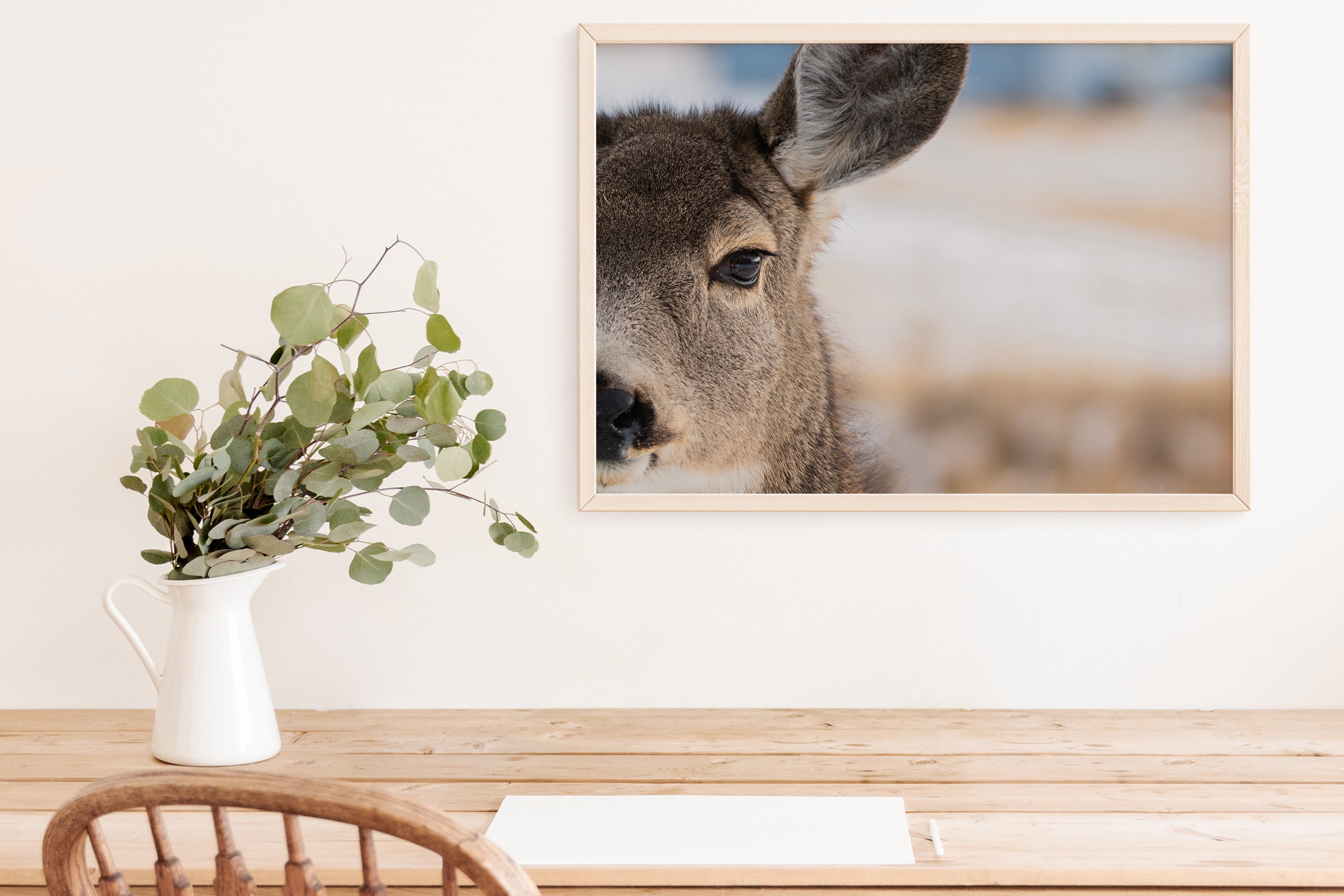 Mule Deer Wall Art - The Overland Diaries