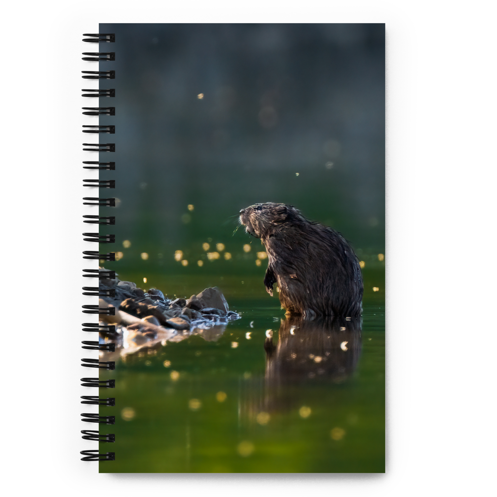 Muskrat Spiral notebook - The Overland Diaries