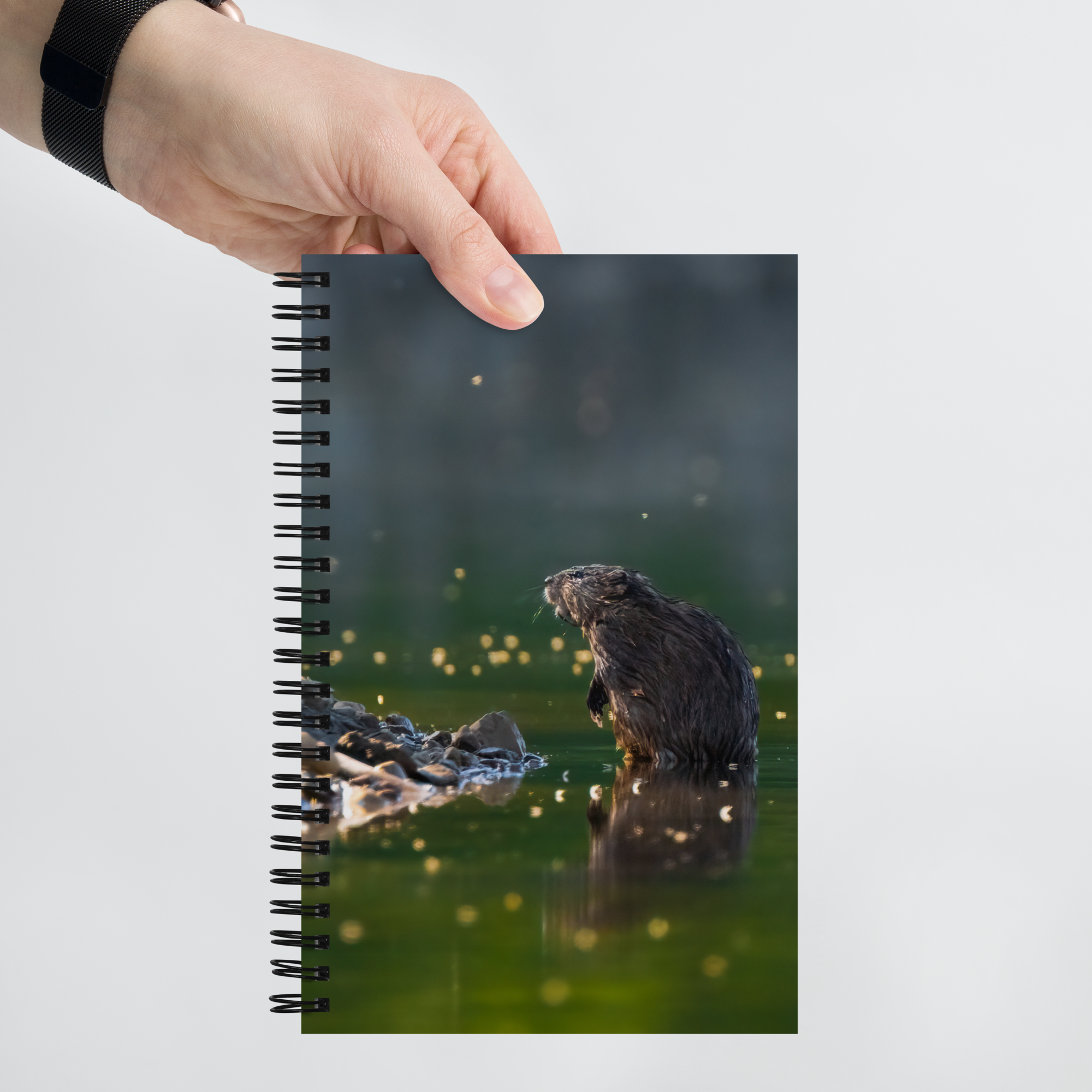 Muskrat Spiral notebook - The Overland Diaries