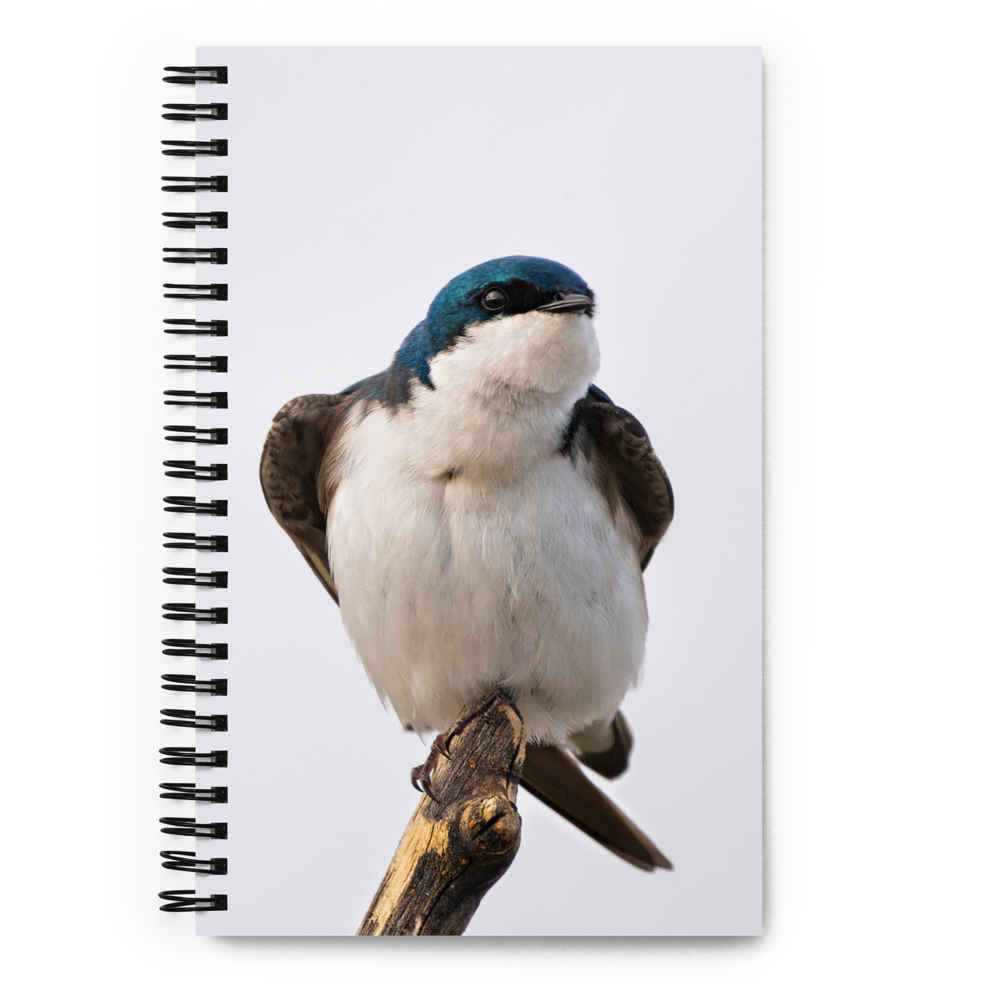 Tree Swallow Spiral Notebook - The Overland Diaries