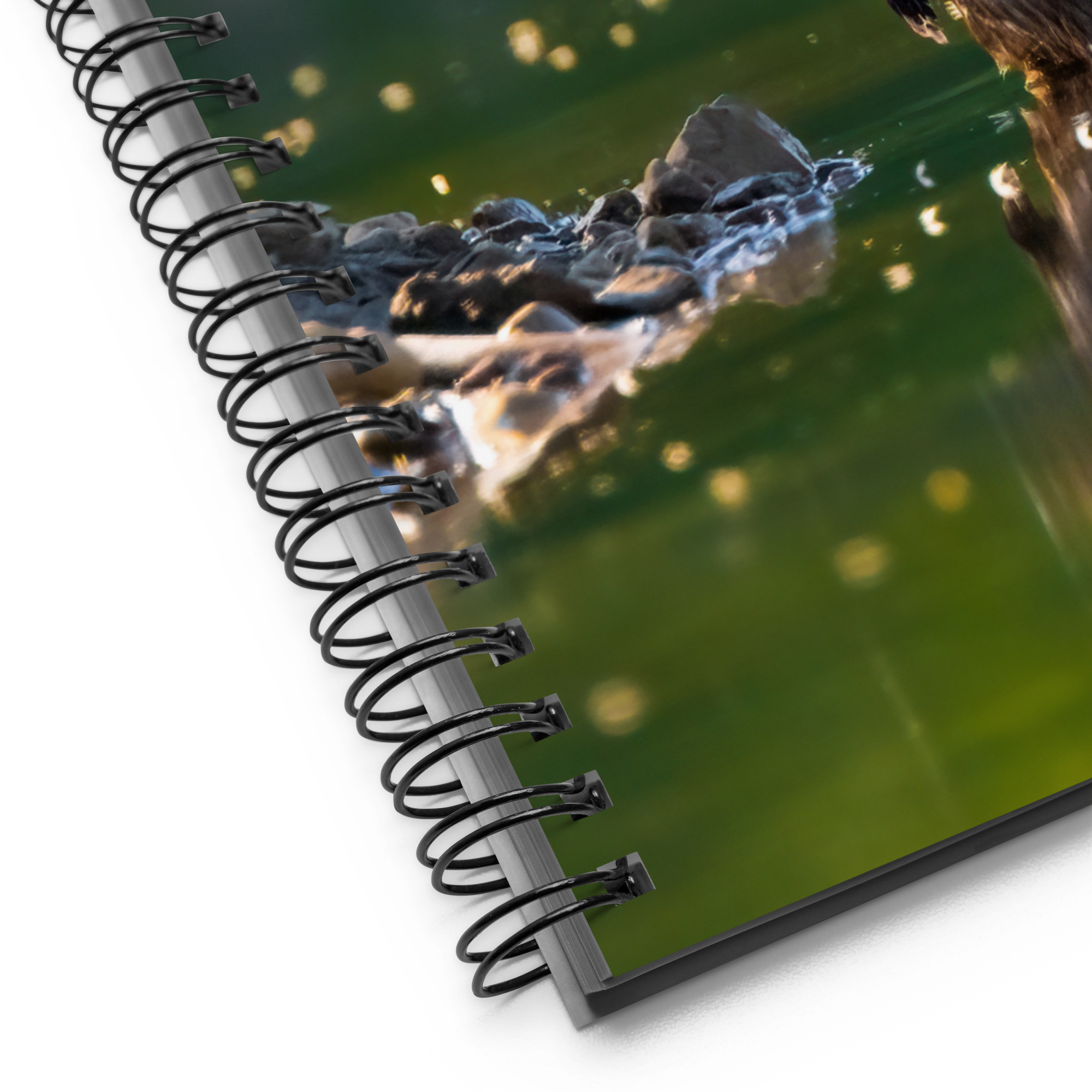 Muskrat Spiral notebook - The Overland Diaries