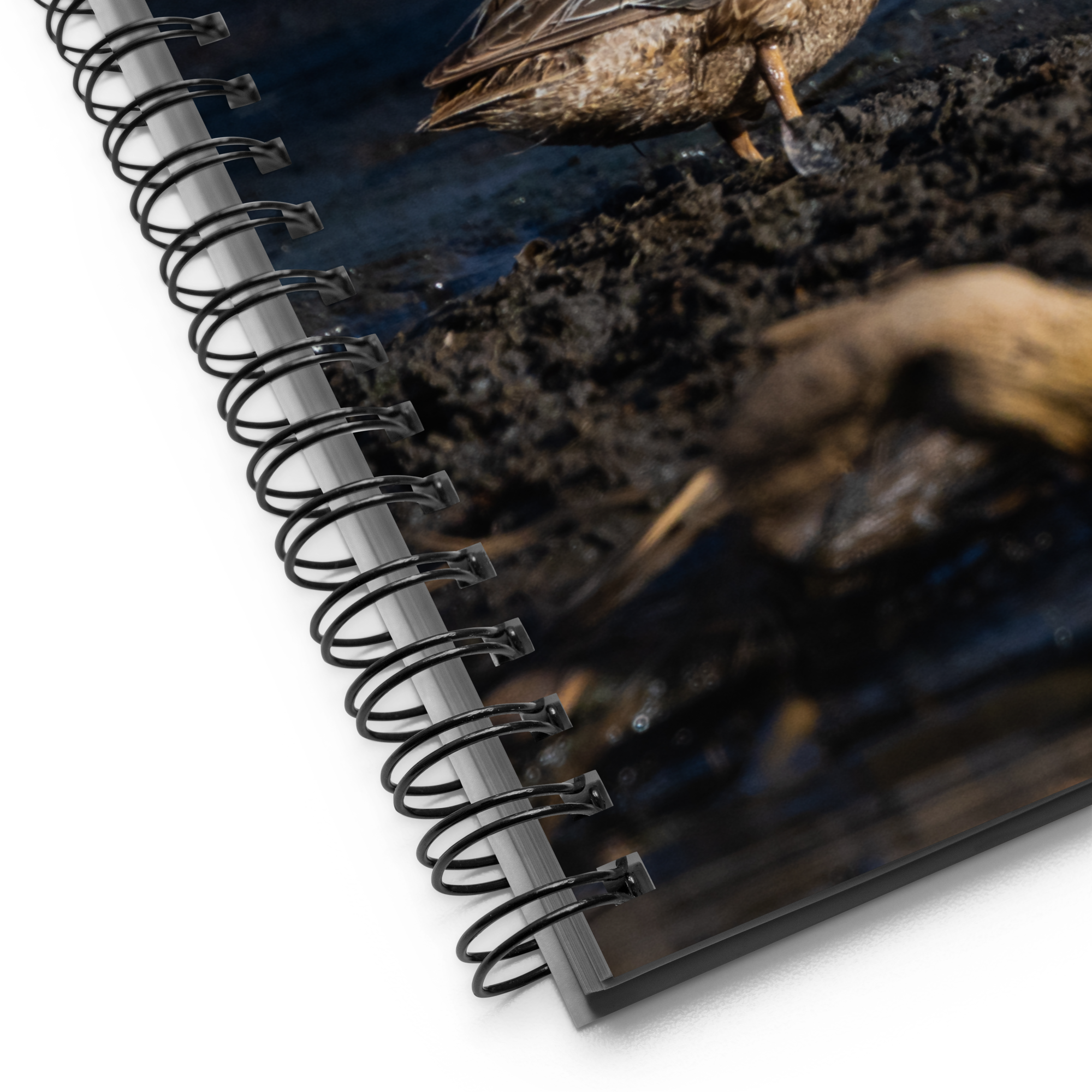 Cinnamon Teal Spiral Spiral Notebook - The Overland Diaries