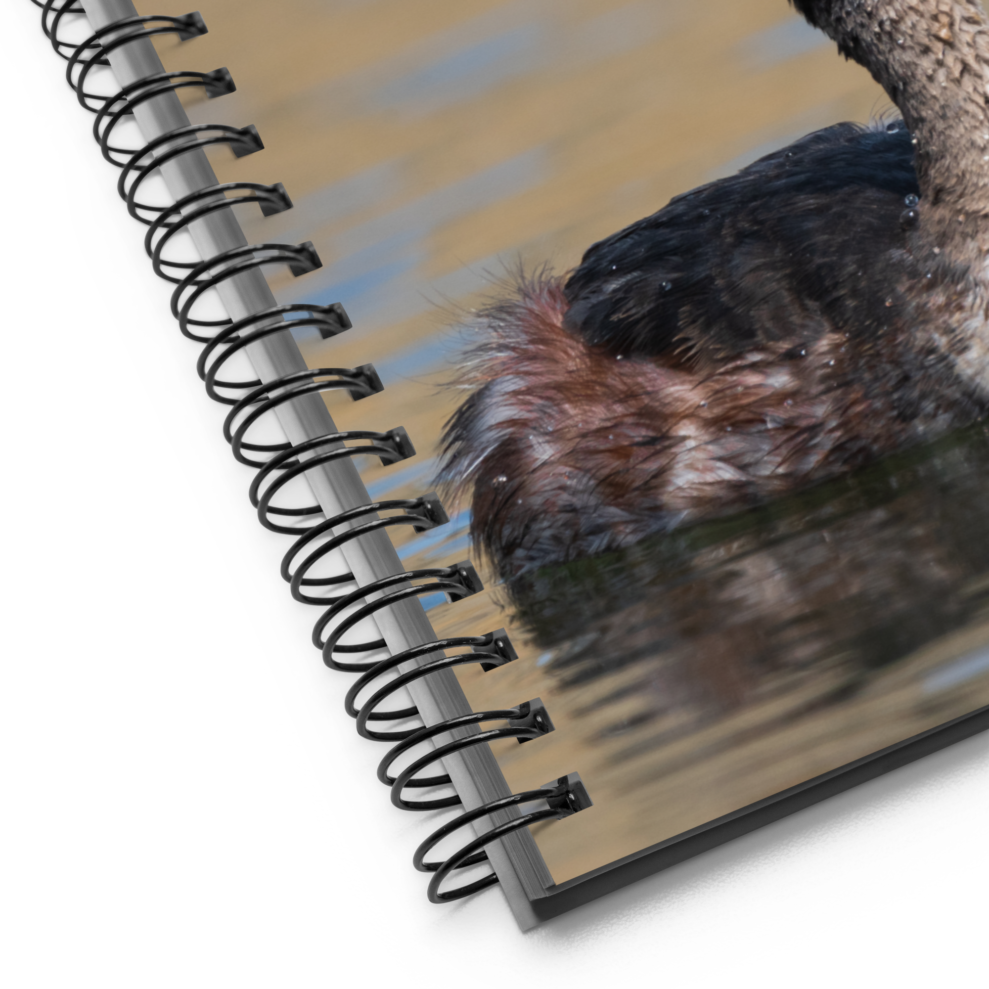 Eared Grebe Spiral Notebook - The Overland Diaries