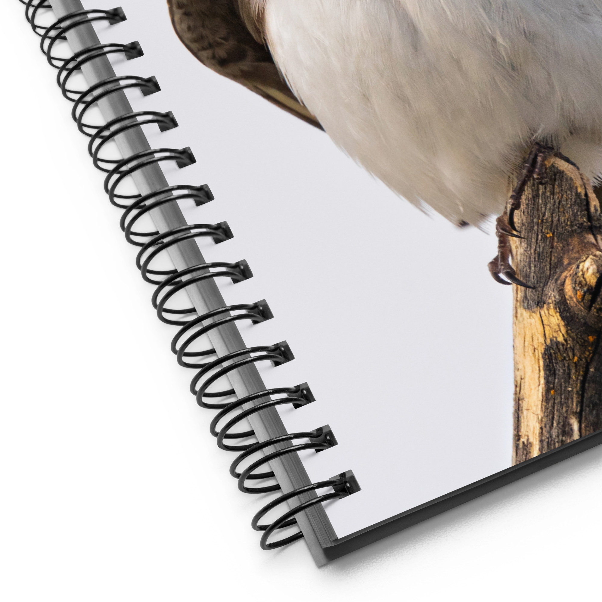 Tree Swallow Spiral Notebook - The Overland Diaries