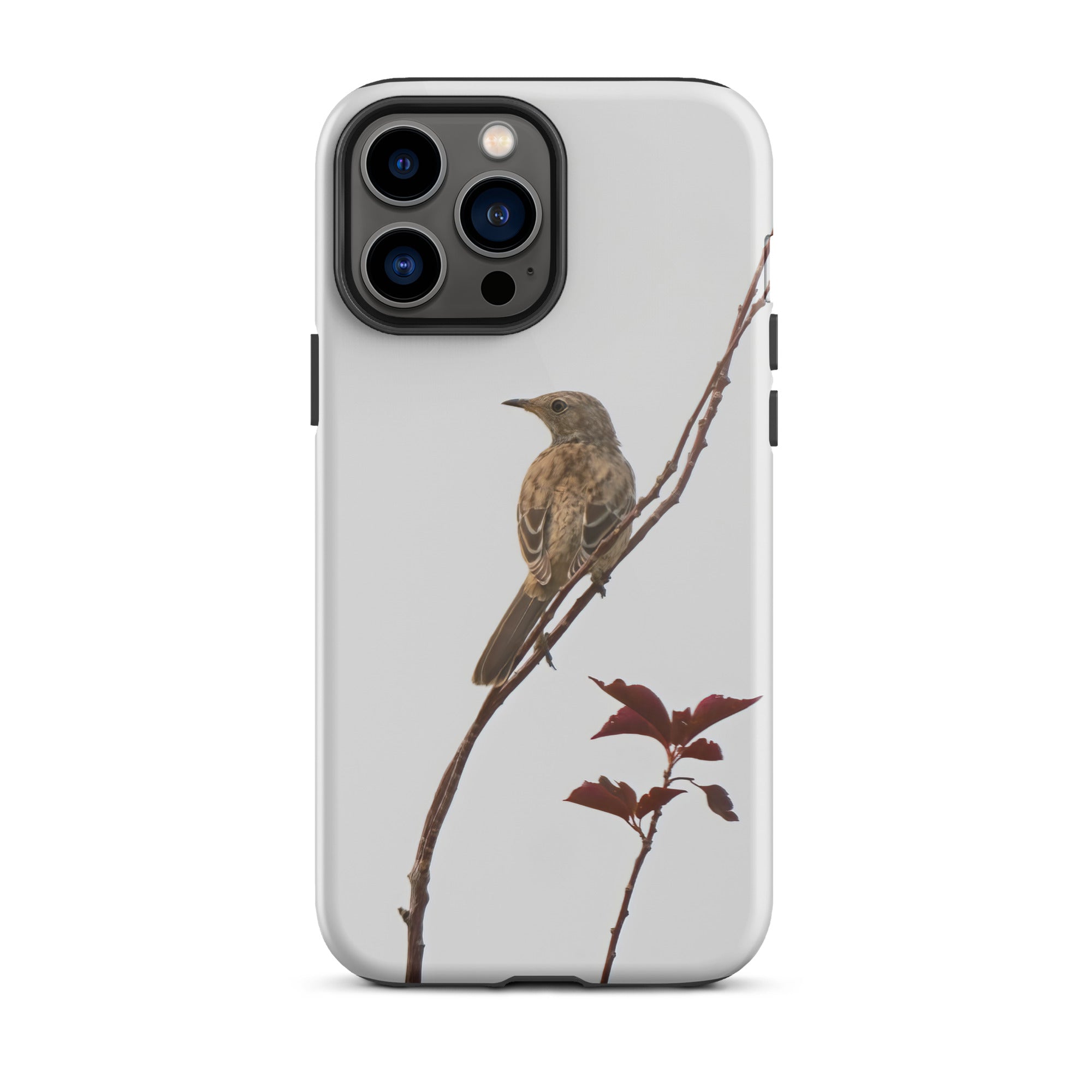 Sage Thrasher Tough Case for iPhone® - The Overland Diaries