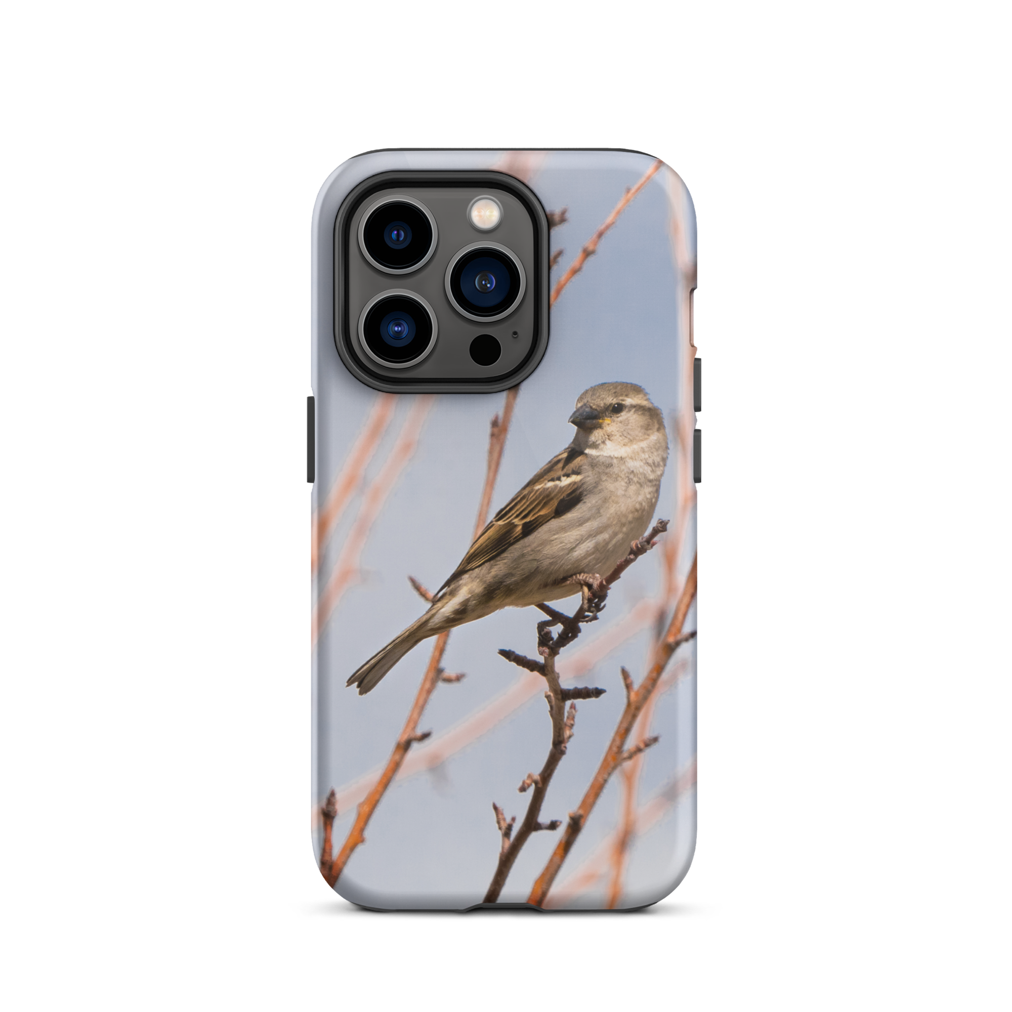 House Sparrow Tough Case for iPhone® - The Overland Diaries