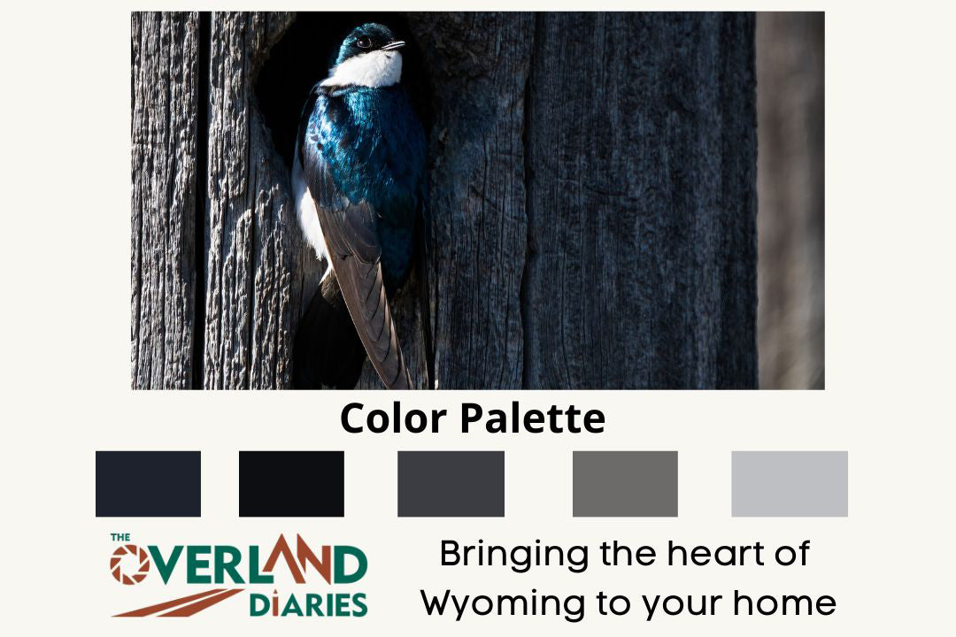 Tree Swallow Coming Out Of Nest - The Overland Diaries