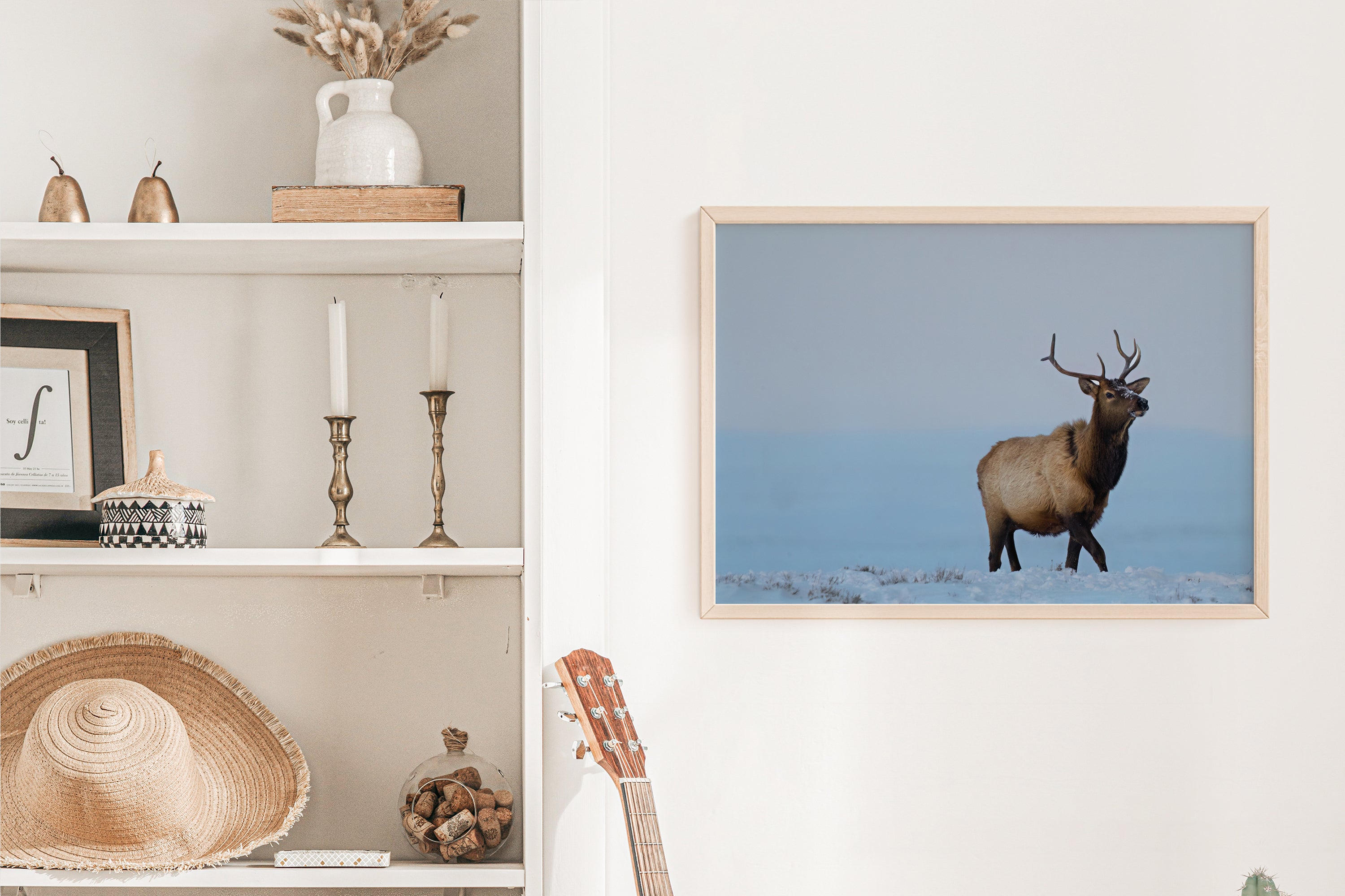 Young Bull Elk in Winter - The Overland Diaries