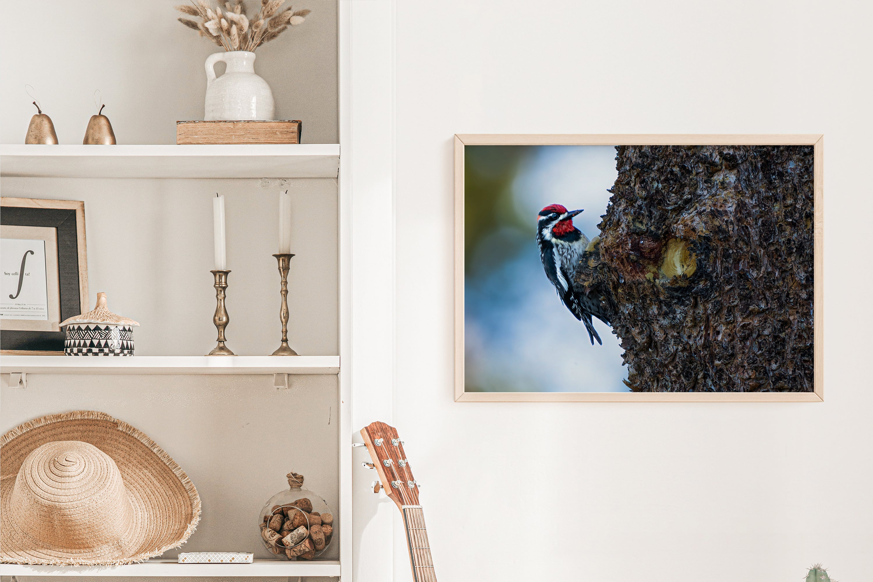 Woodpecker Photo - The Overland Diaries