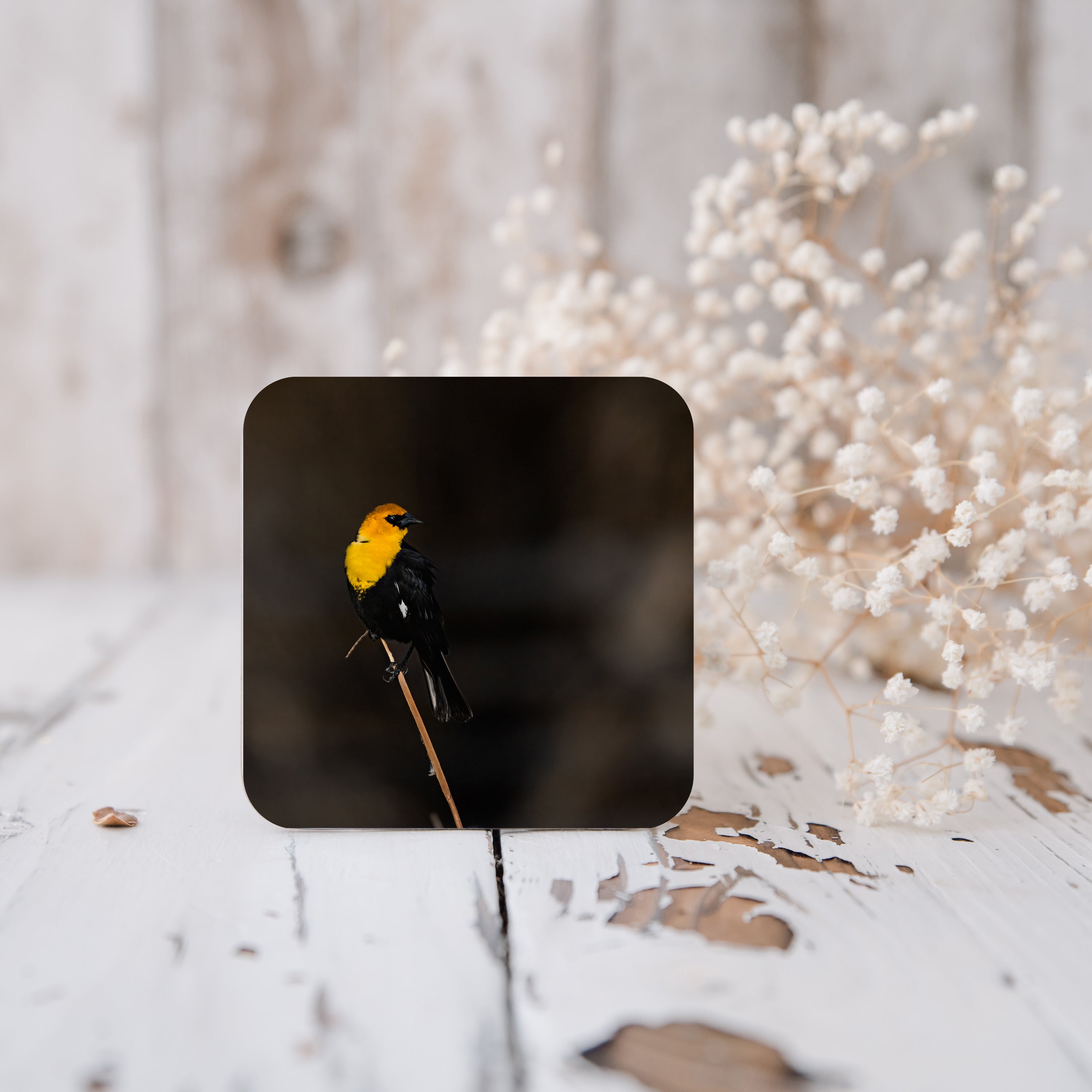 Home Decor Bird Related Cork-Back Coaster - The Overland Diaries