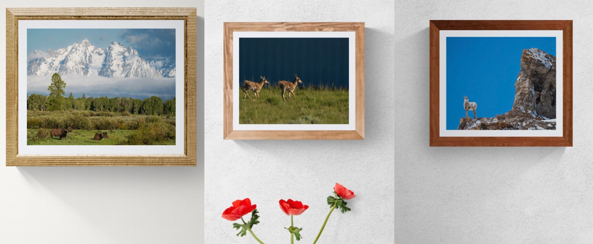 Awakened by Spring: Limited Edition Wildlife Prints – Feb 24 to Mar 2