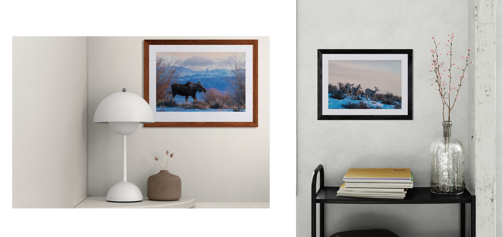Frozen Beauty: Winter Wildlife Prints Limited-Edition Wyoming Collection (Dec 2–9 Only) Part 1