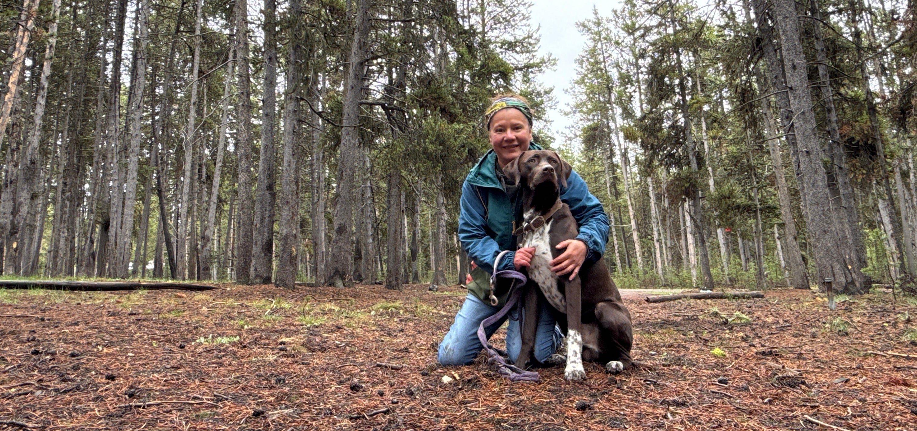 Visiting Yellowstone With a Dog: What I Learned Traveling With Levon