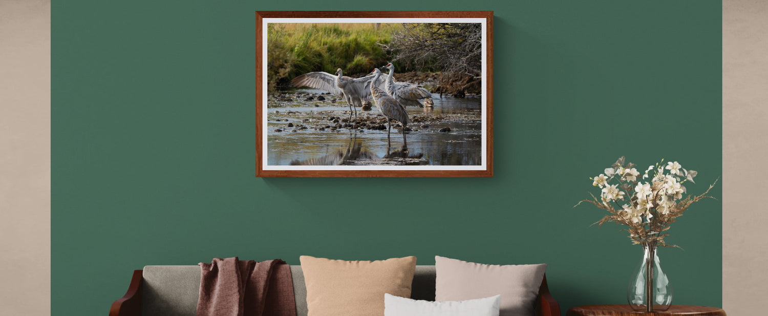 The Stories Behind My Wyoming Wildlife Prints | Sandhill Cranes, Grand Tetons, Moose & Northern Lights