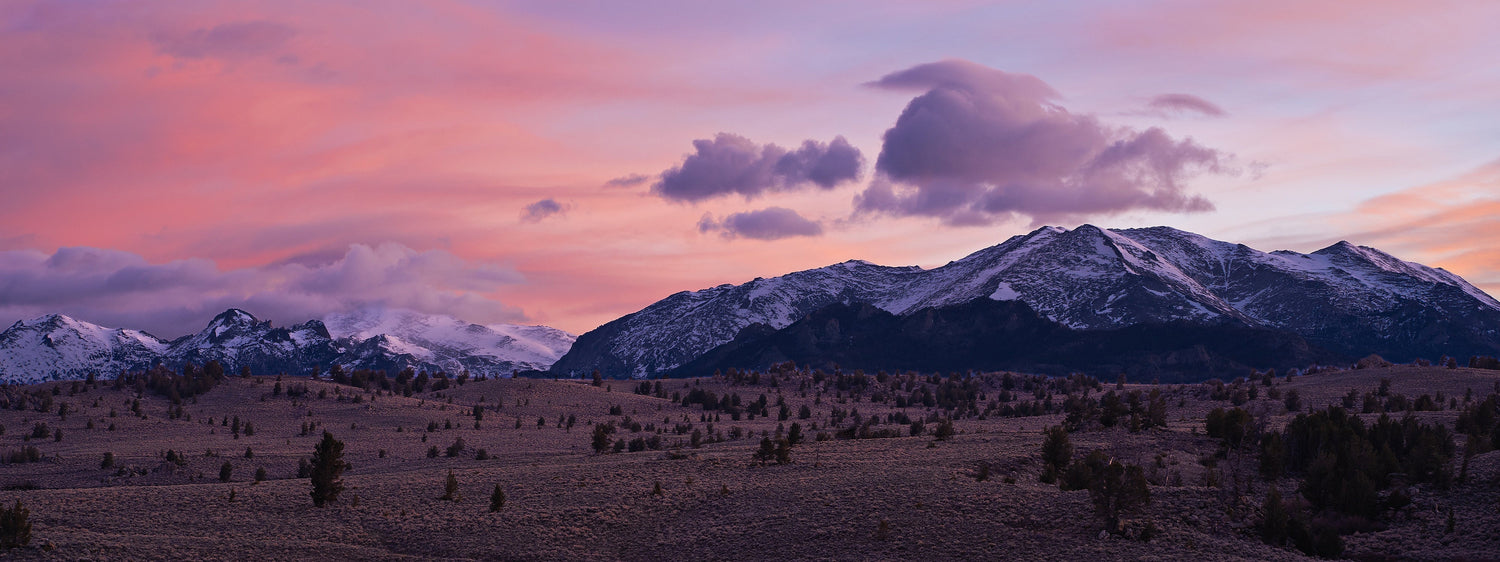 A Wyoming Wildlife Photography Trip I Almost Didn’t Take