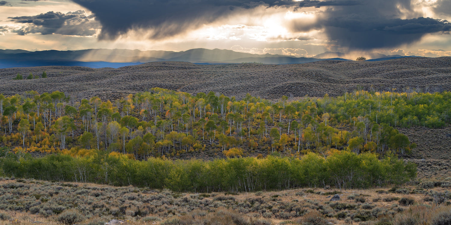 Three Moments That Reminded Me to Slow Down in Wyoming