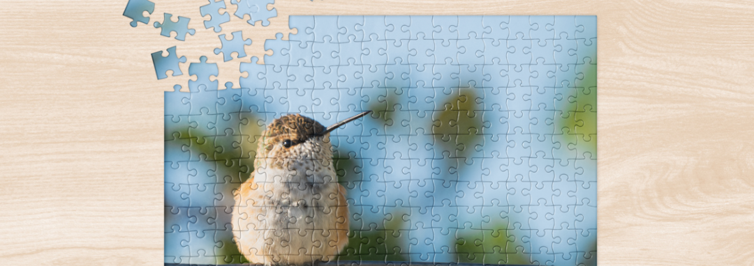 Summer Puzzles