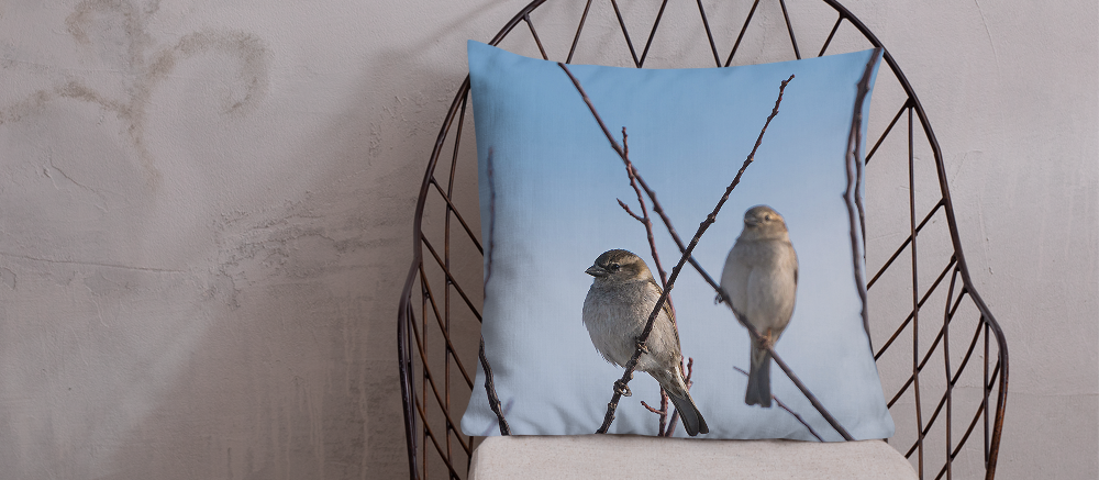 Spring Collection Pillows