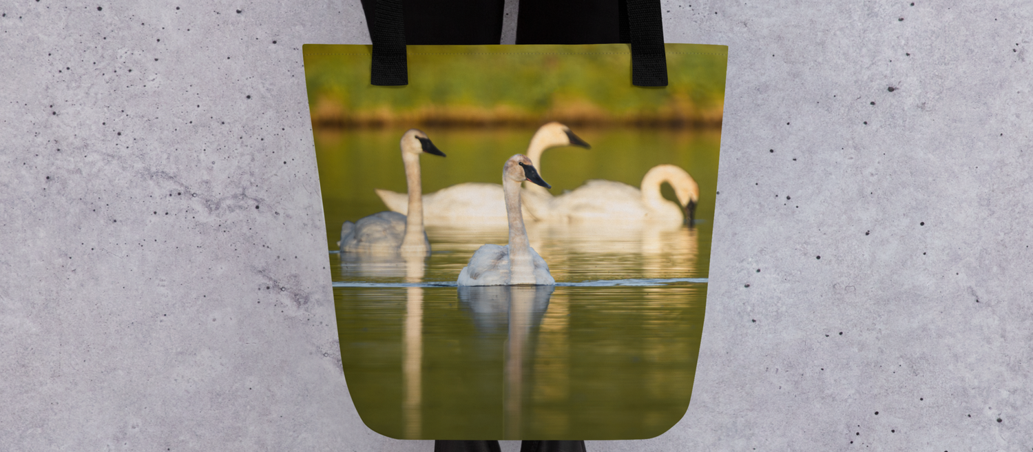 Summer Collection Small Tote Bags