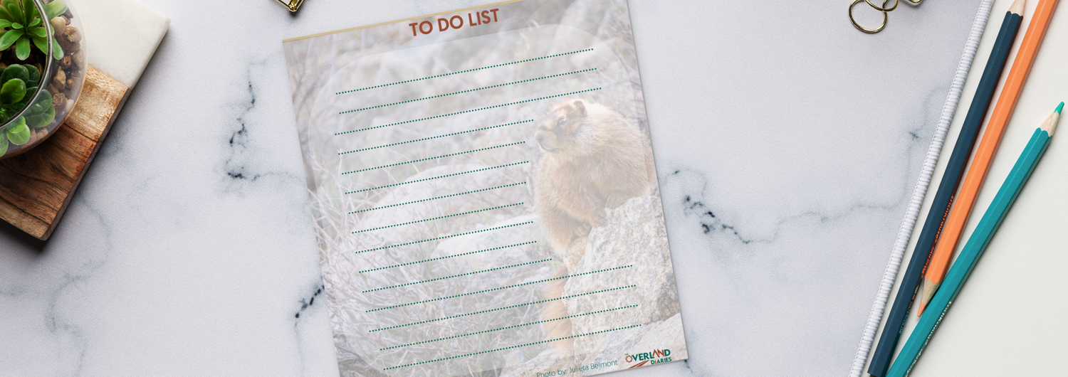 Spring Notepads