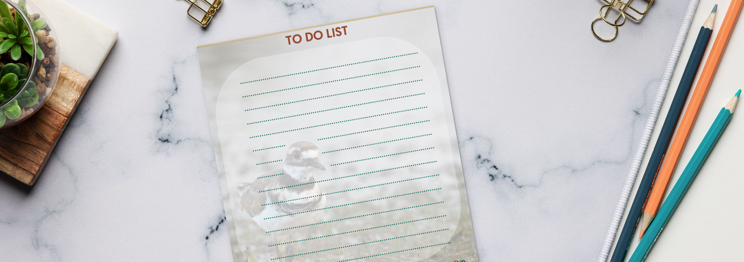 Summer Notepads