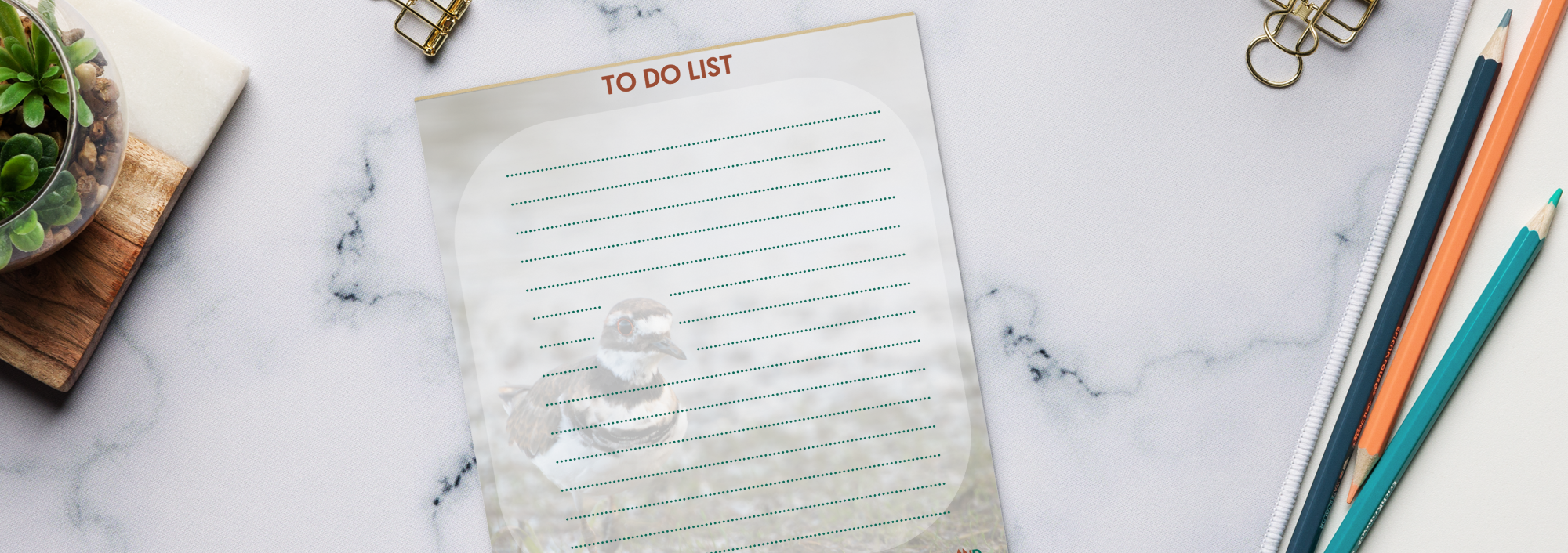 Summer Notepads